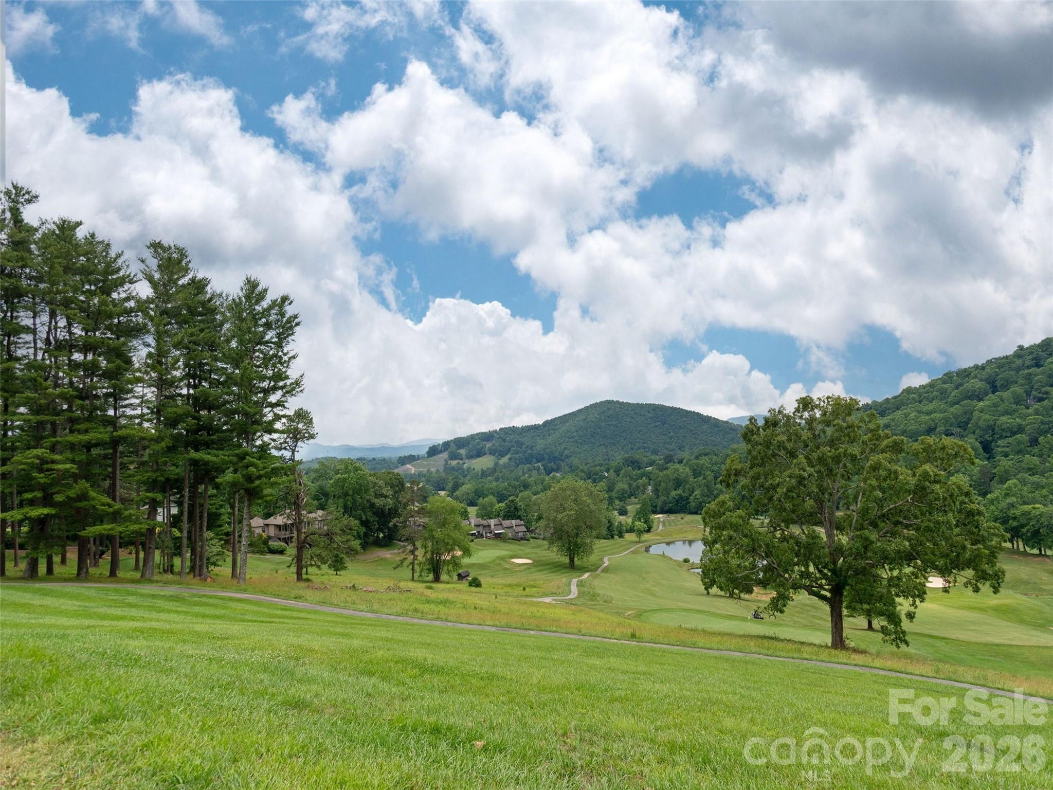 Lot #117 Honey Locust Drive Lot #117 Property Photo 18