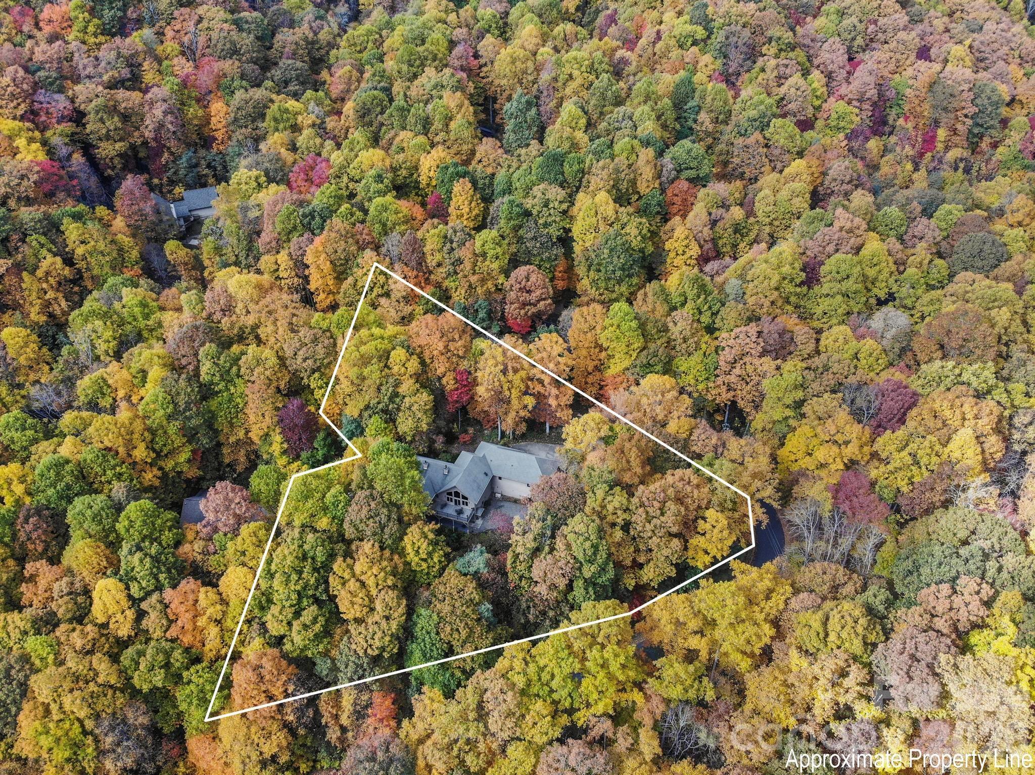 30 Laurel Branch Drive Property Photo 3