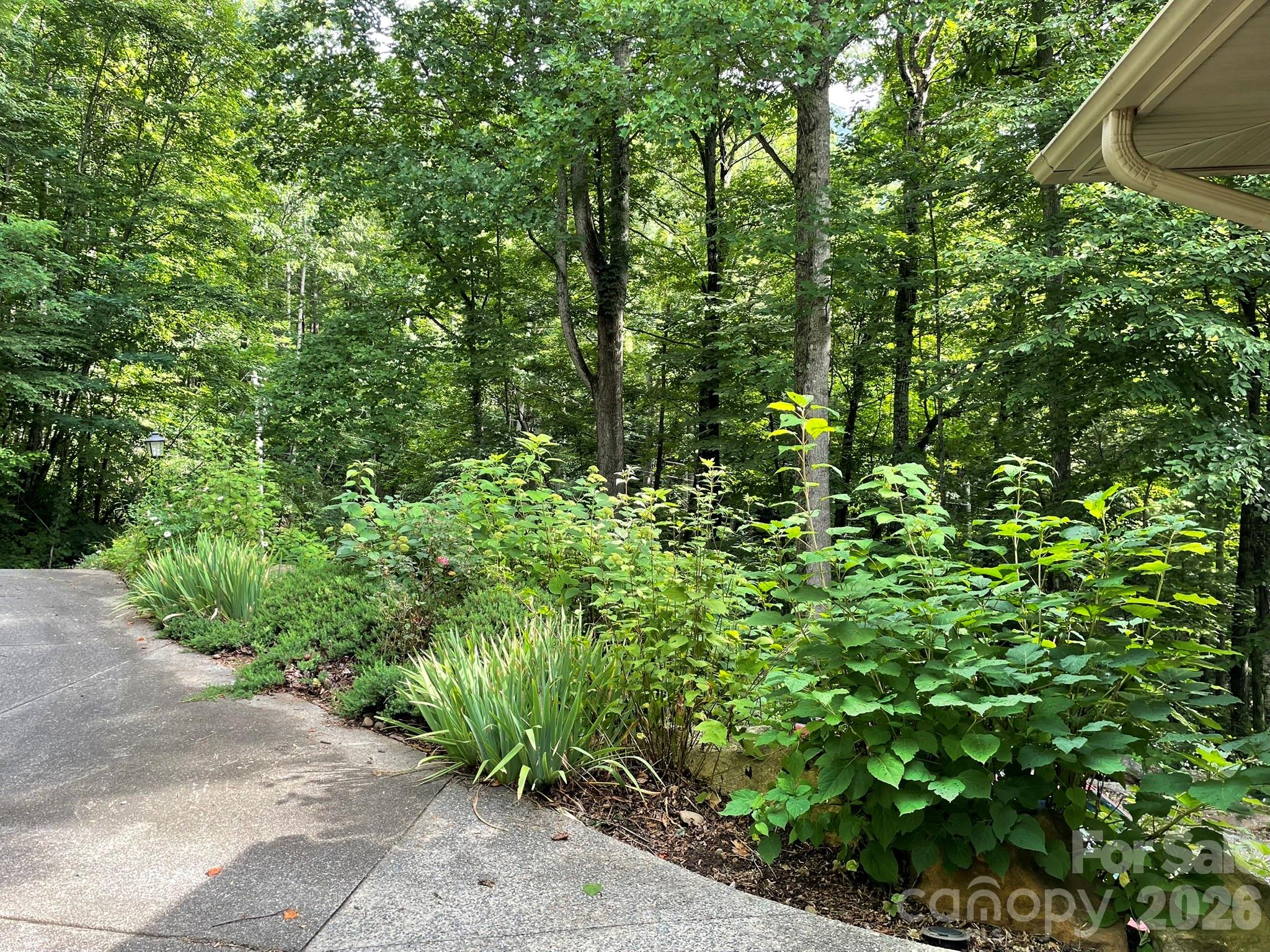 30 Laurel Branch Drive Property Photo 46