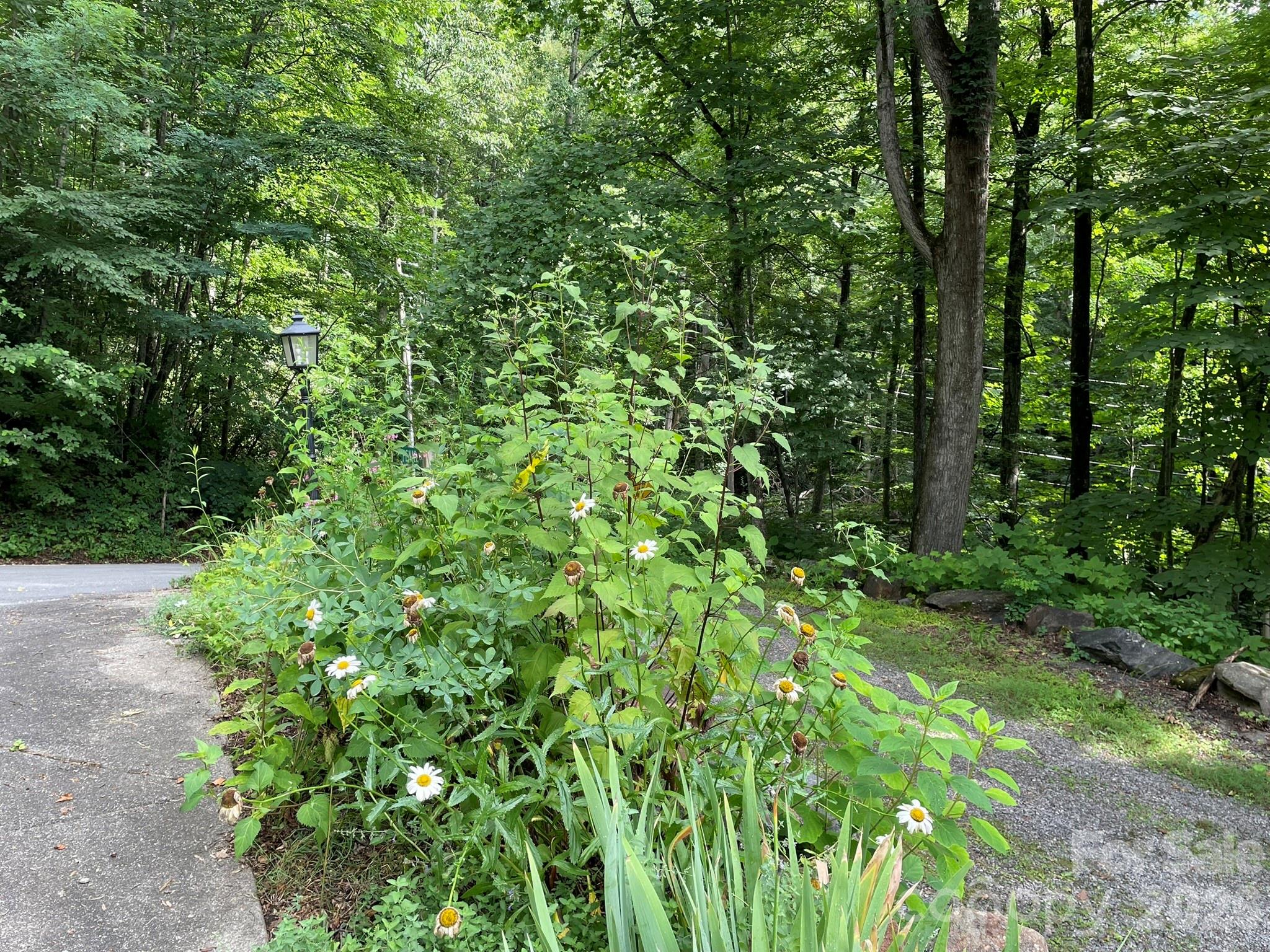 30 Laurel Branch Drive Property Photo 47