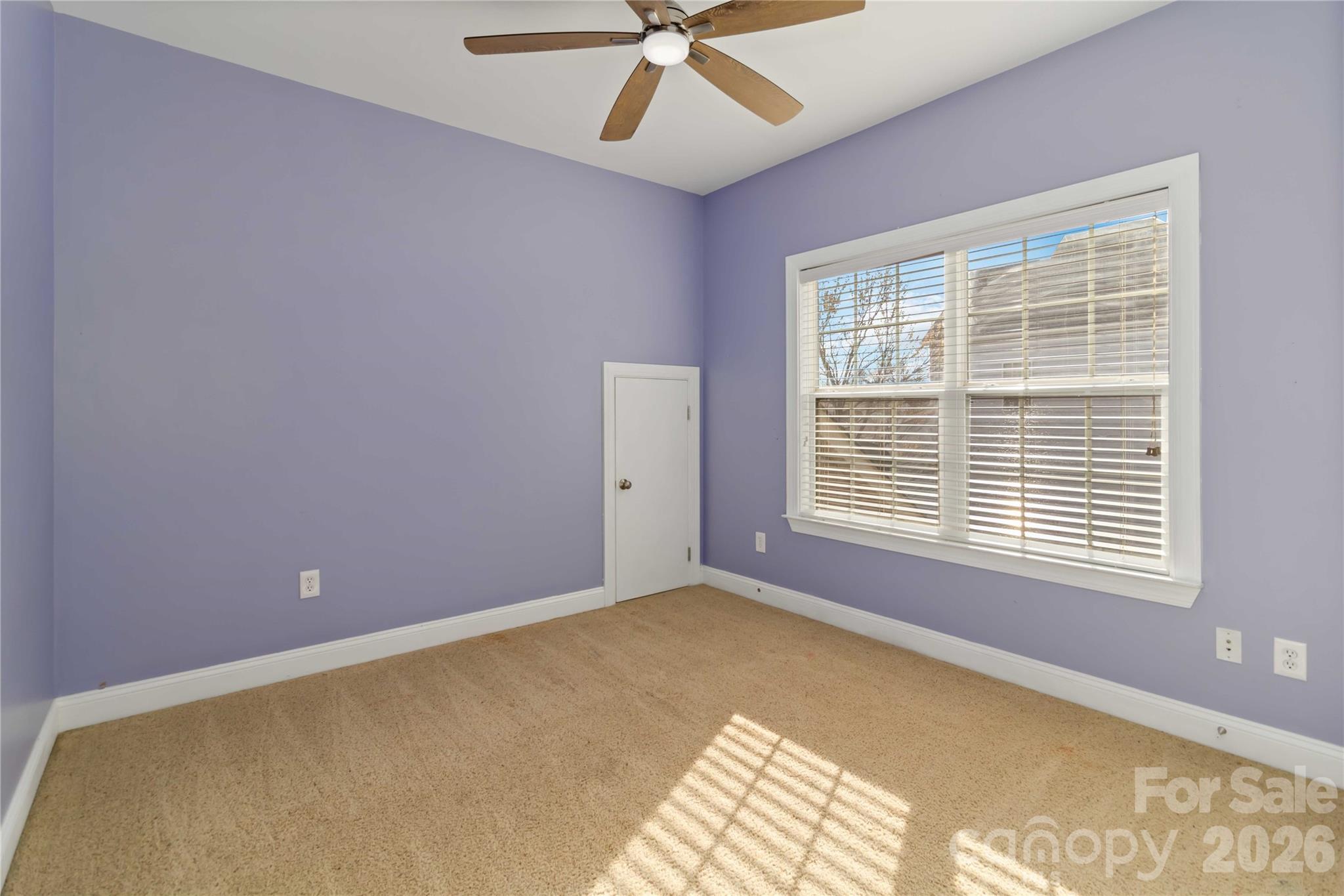 3908 Hazel Downe Way Property Photo 19
