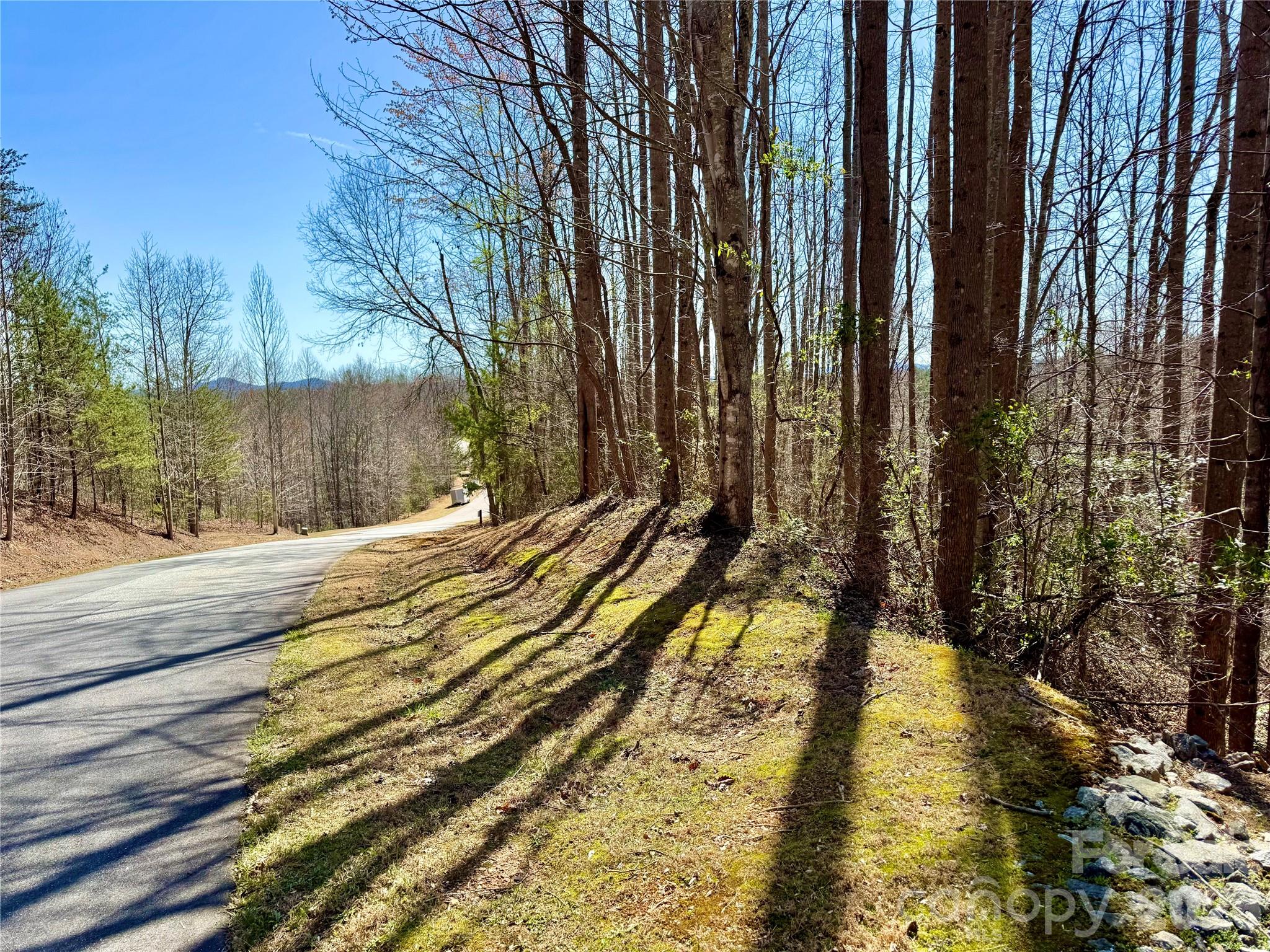 Lot 42, Round Mountain Parkway 42 Property Photo 1