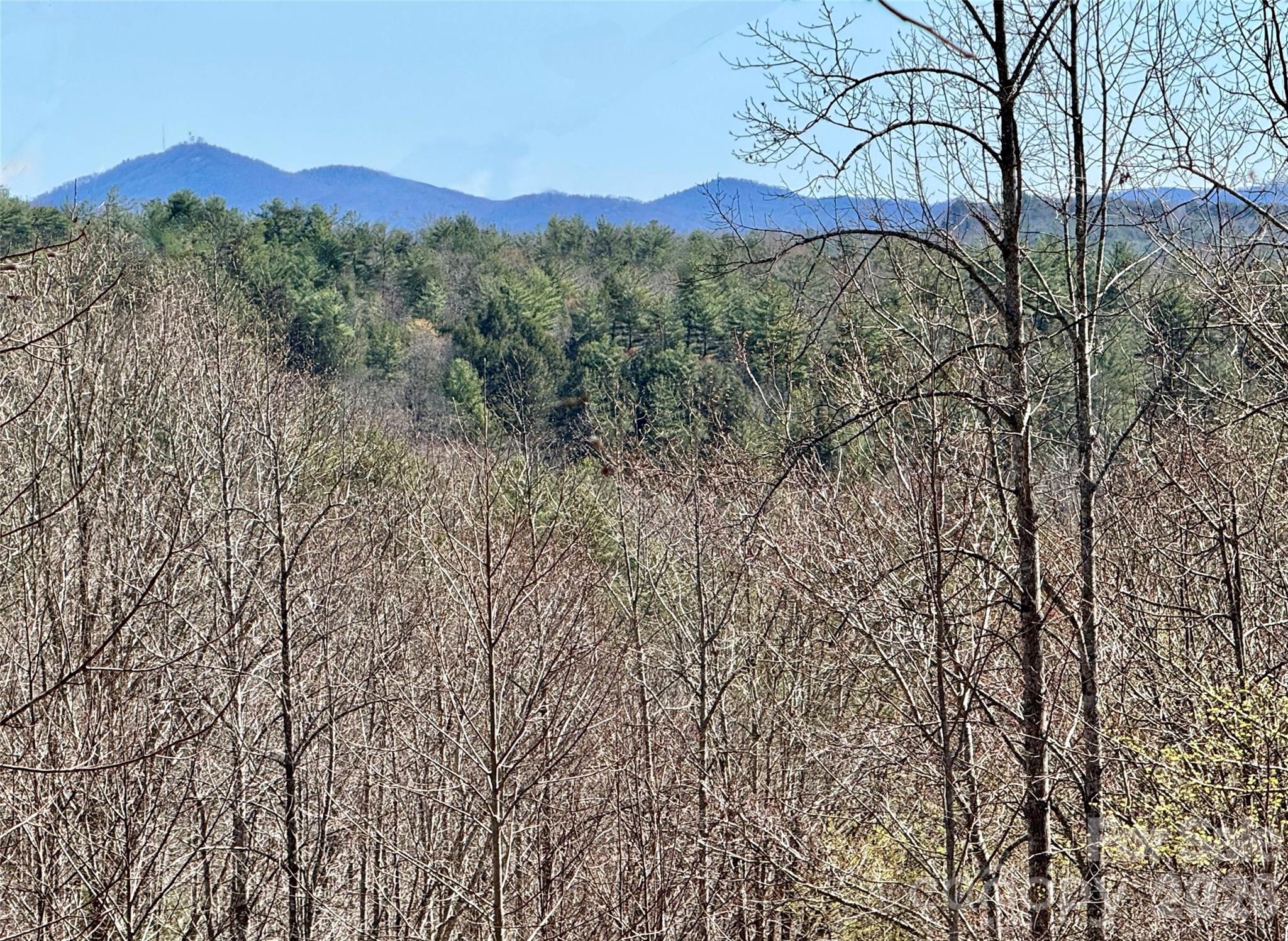 Lot 42, Round Mountain Parkway 42 Property Photo 2