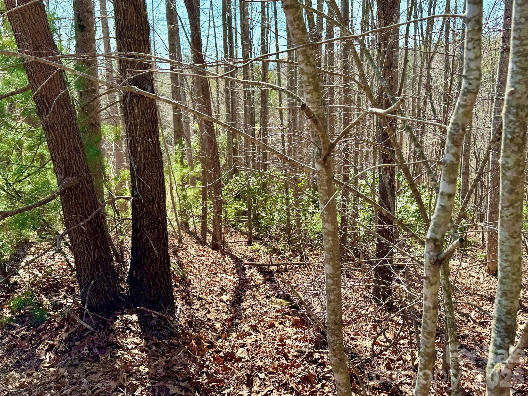 Lot 42, Round Mountain Parkway 42 Property Photo 3