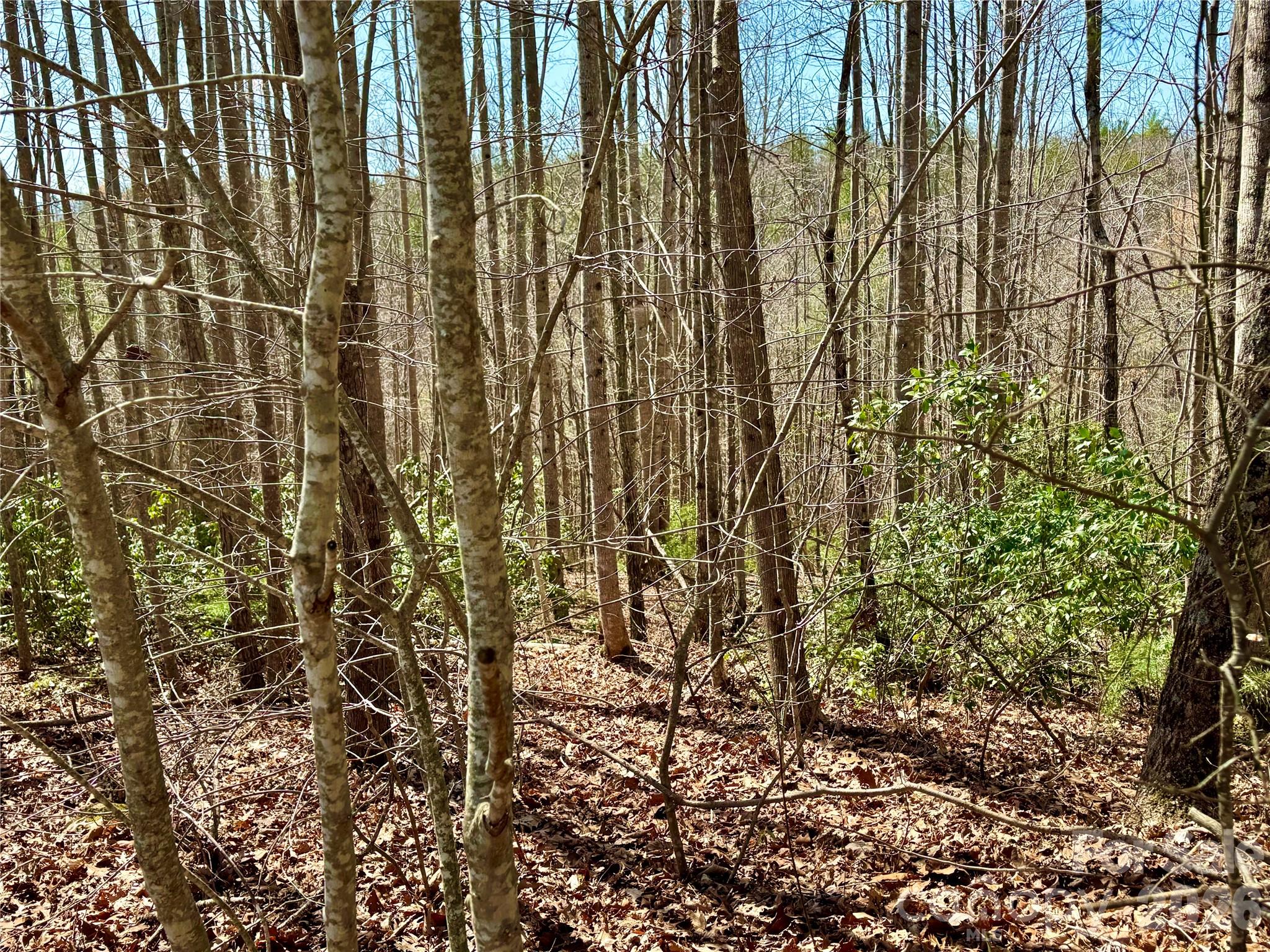 Lot 42, Round Mountain Parkway 42 Property Photo 4