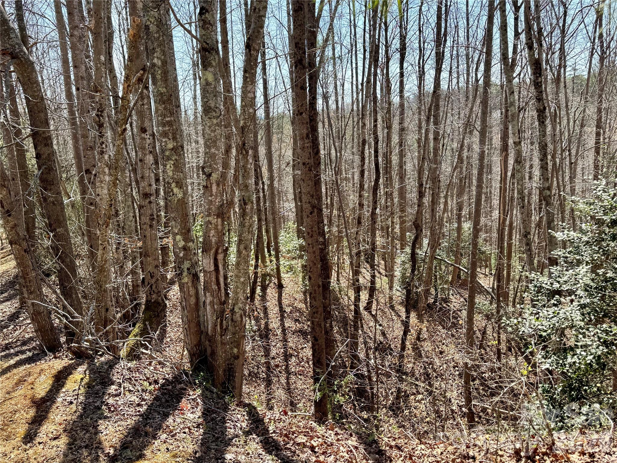 Lot 42, Round Mountain Parkway 42 Property Photo 5