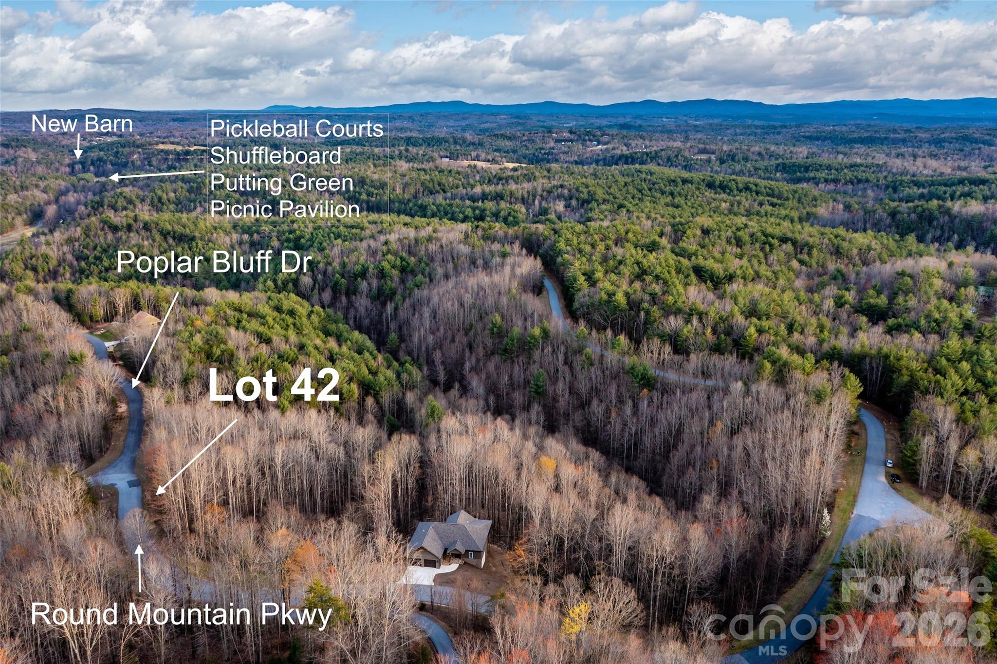 Lot 42, Round Mountain Parkway 42 Property Photo 6