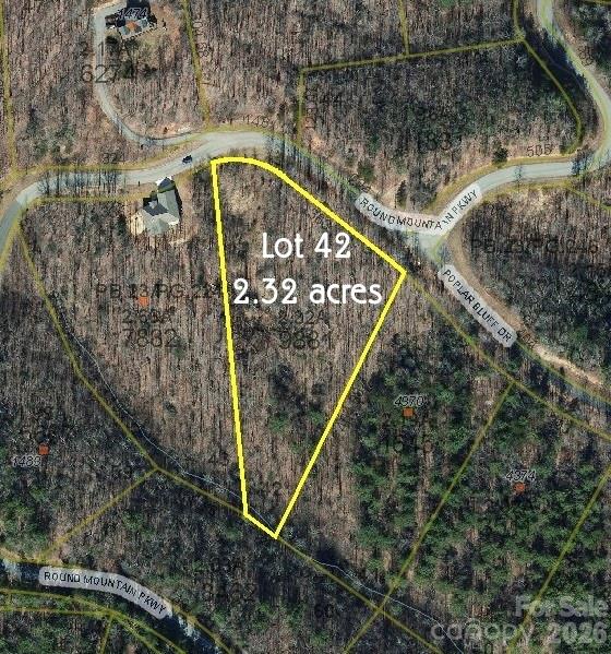 Lot 42, Round Mountain Parkway 42 Property Photo 8