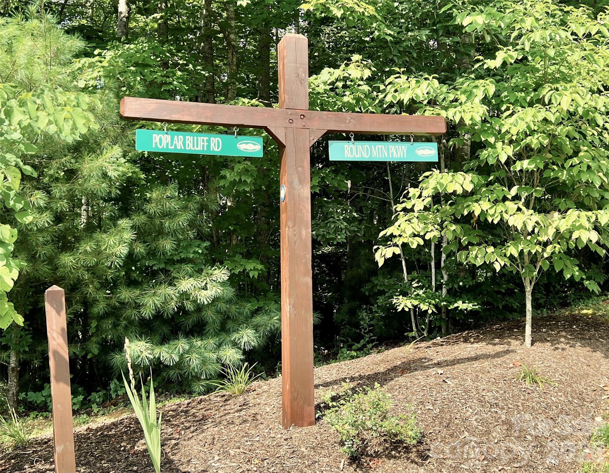 Lot 42, Round Mountain Parkway 42 Property Photo 10