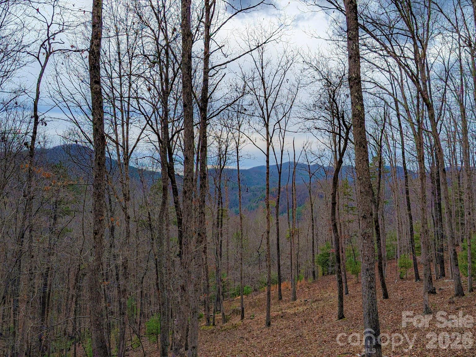 51 Wild Turkey Loop 32 Property Photo 1