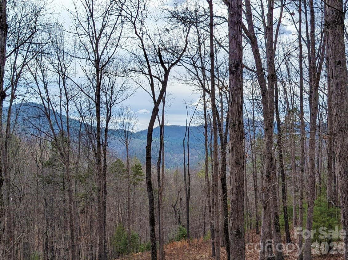 51 Wild Turkey Loop 32 Property Photo 3