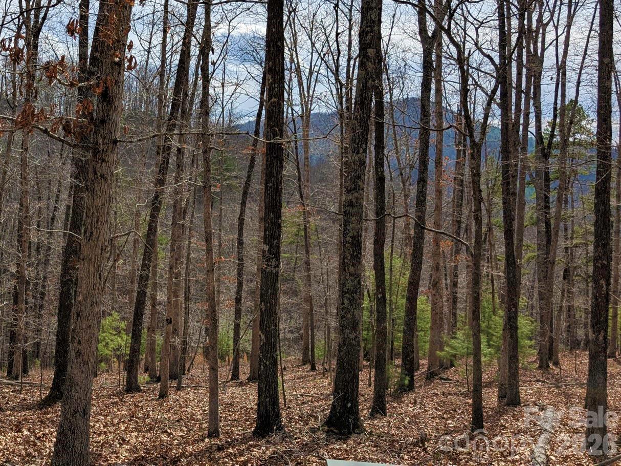 51 Wild Turkey Loop 32 Property Photo 4