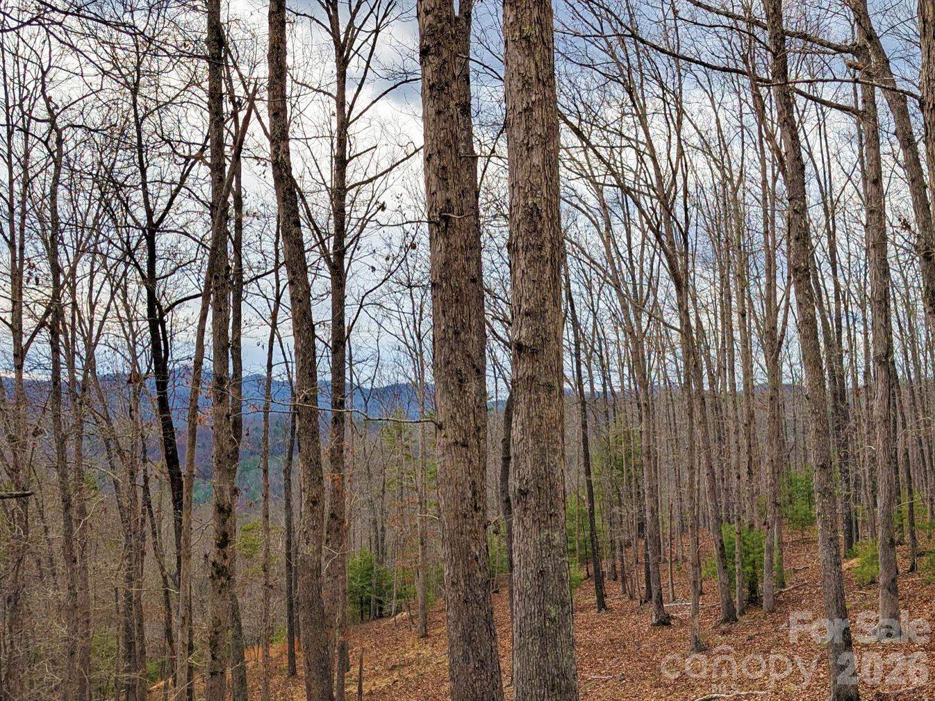 51 Wild Turkey Loop 32 Property Photo 11