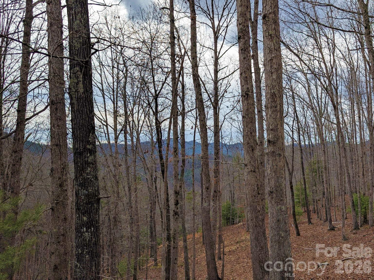 51 Wild Turkey Loop 32 Property Photo 12