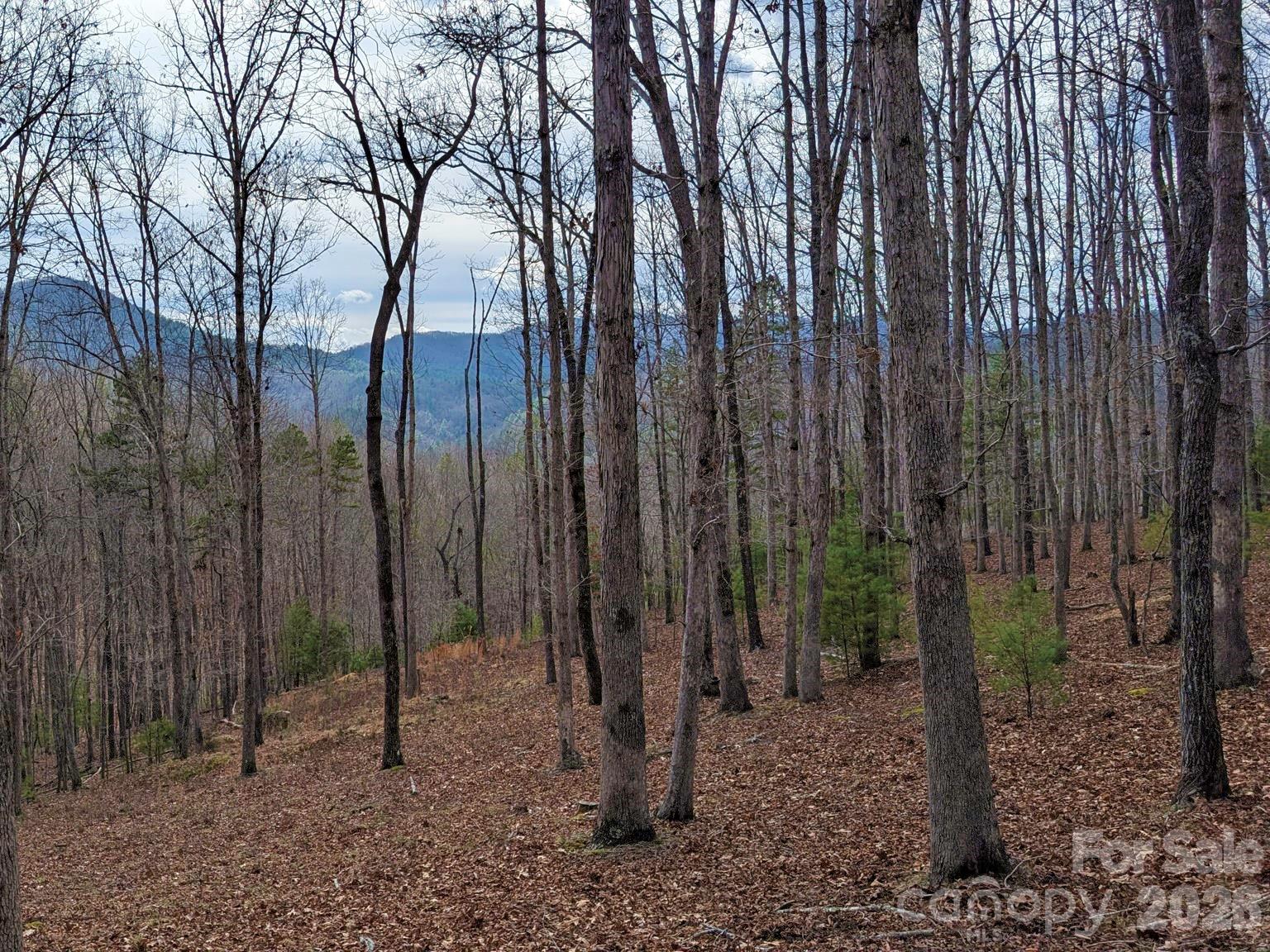 51 Wild Turkey Loop 32 Property Photo 13