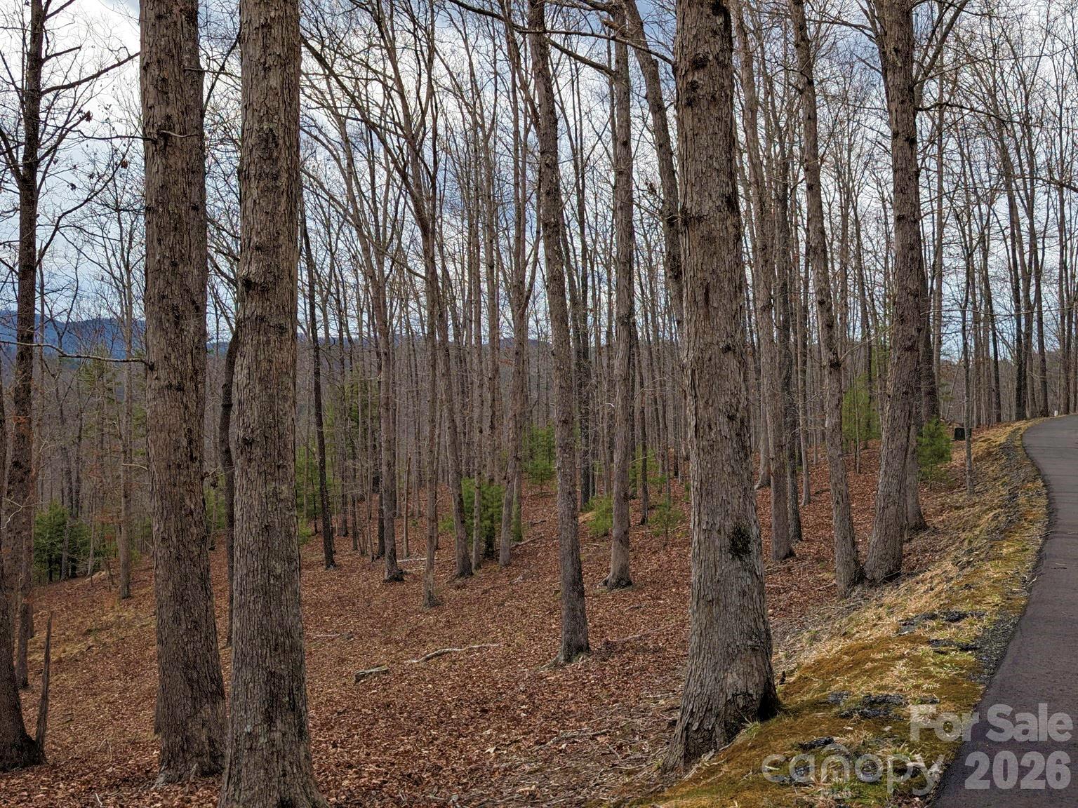 51 Wild Turkey Loop 32 Property Photo 14