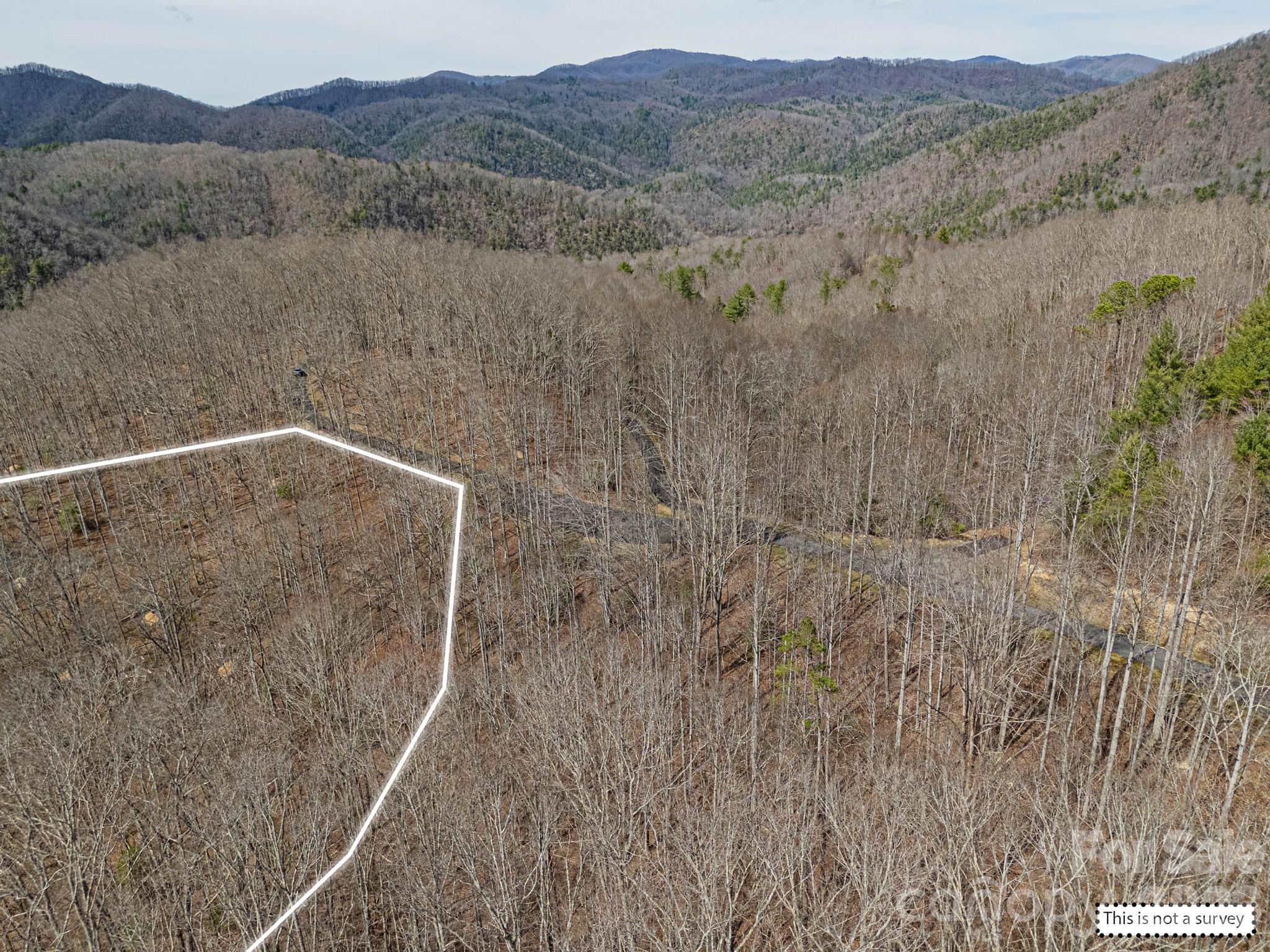 51 Wild Turkey Loop 32 Property Photo 32