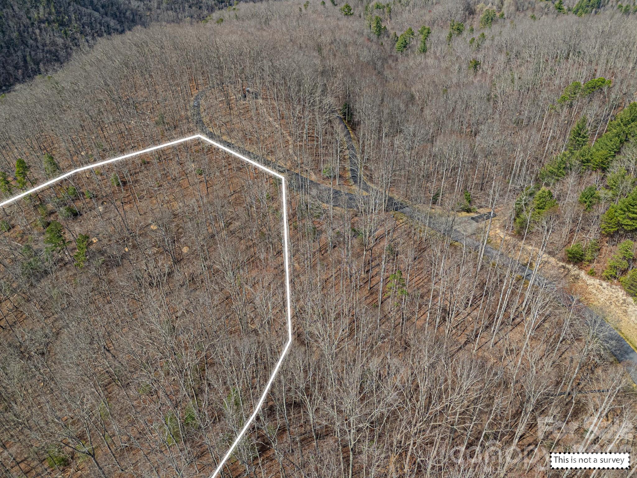 51 Wild Turkey Loop 32 Property Photo 33