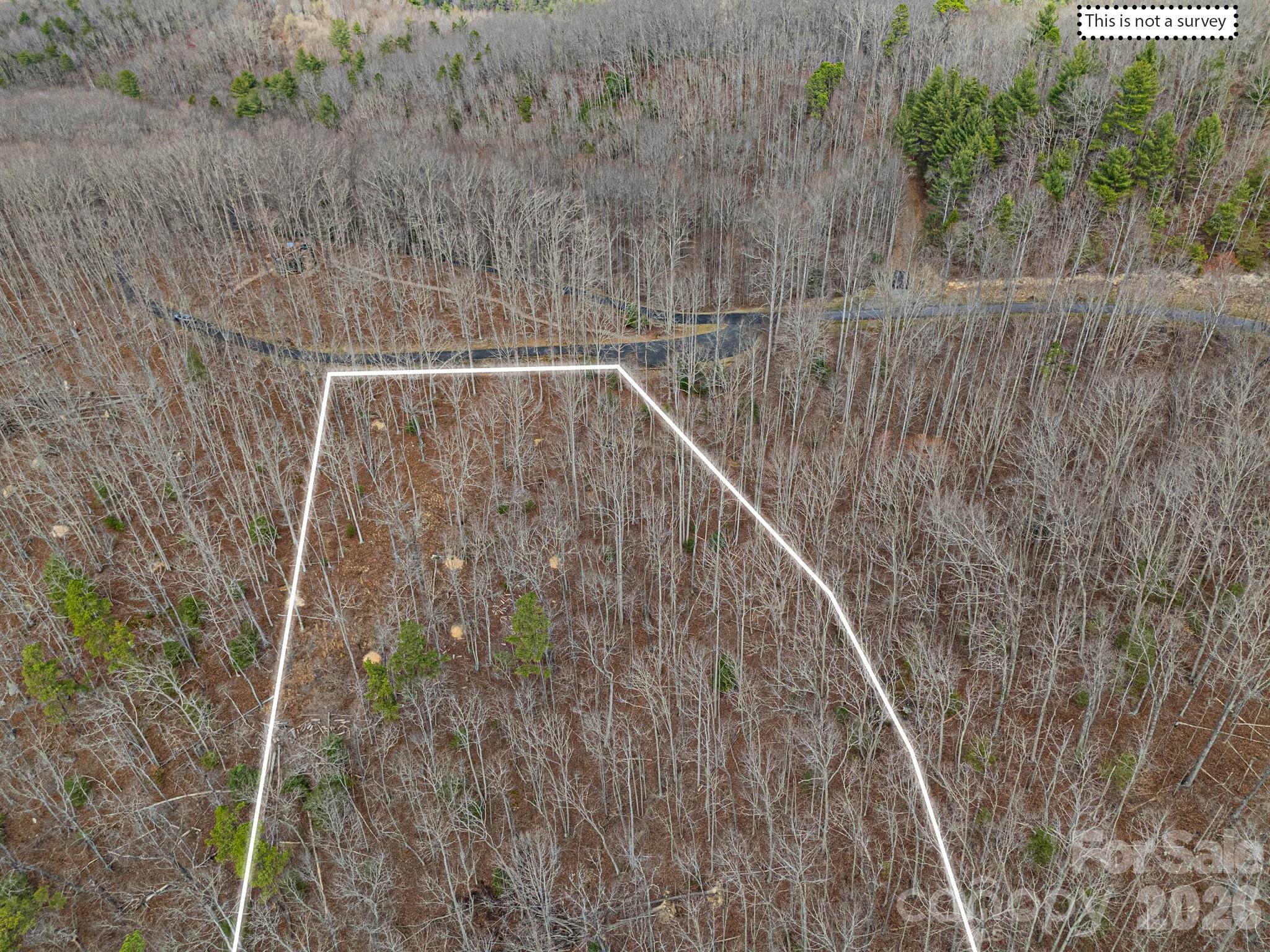 51 Wild Turkey Loop 32 Property Photo 34