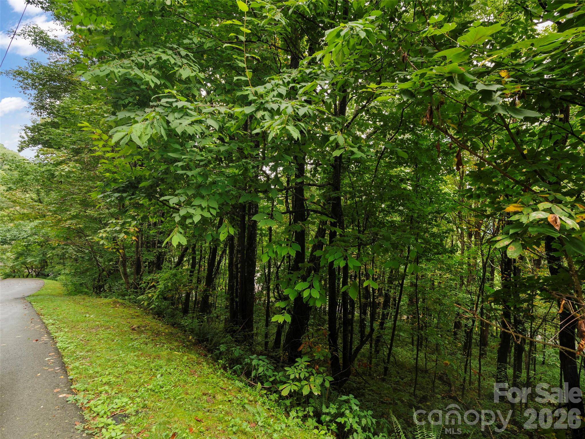 Lot 28 Jefferson Lane Property Photo 1