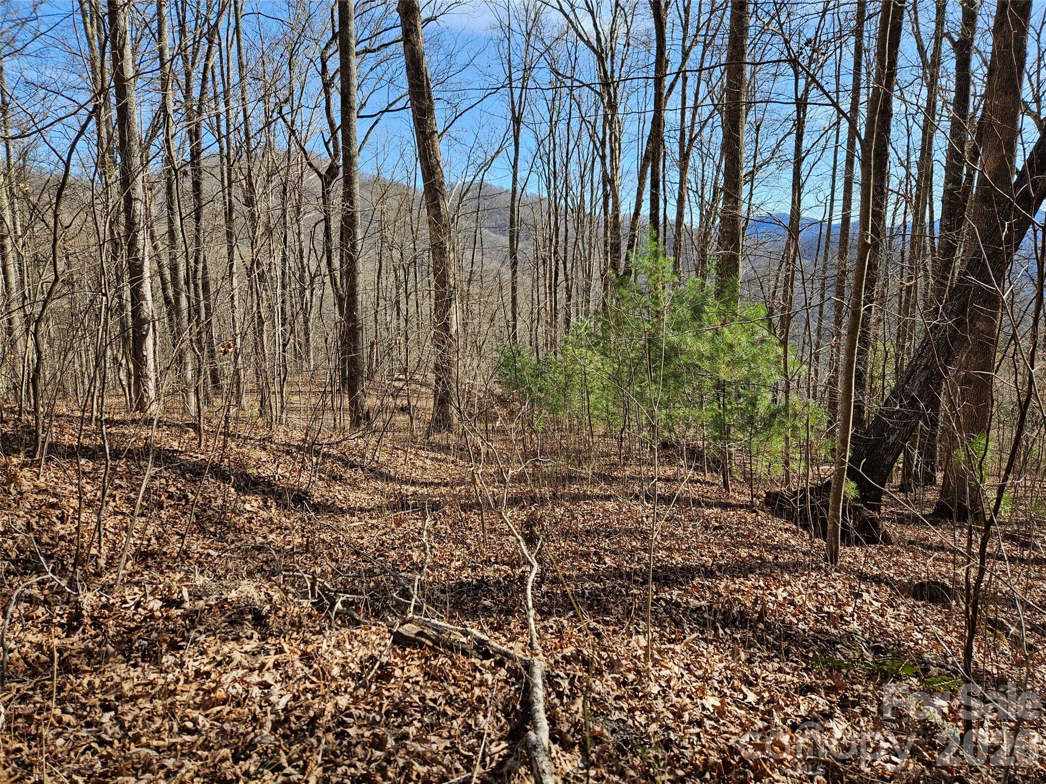 262 Si Knob Road Property Photo 2
