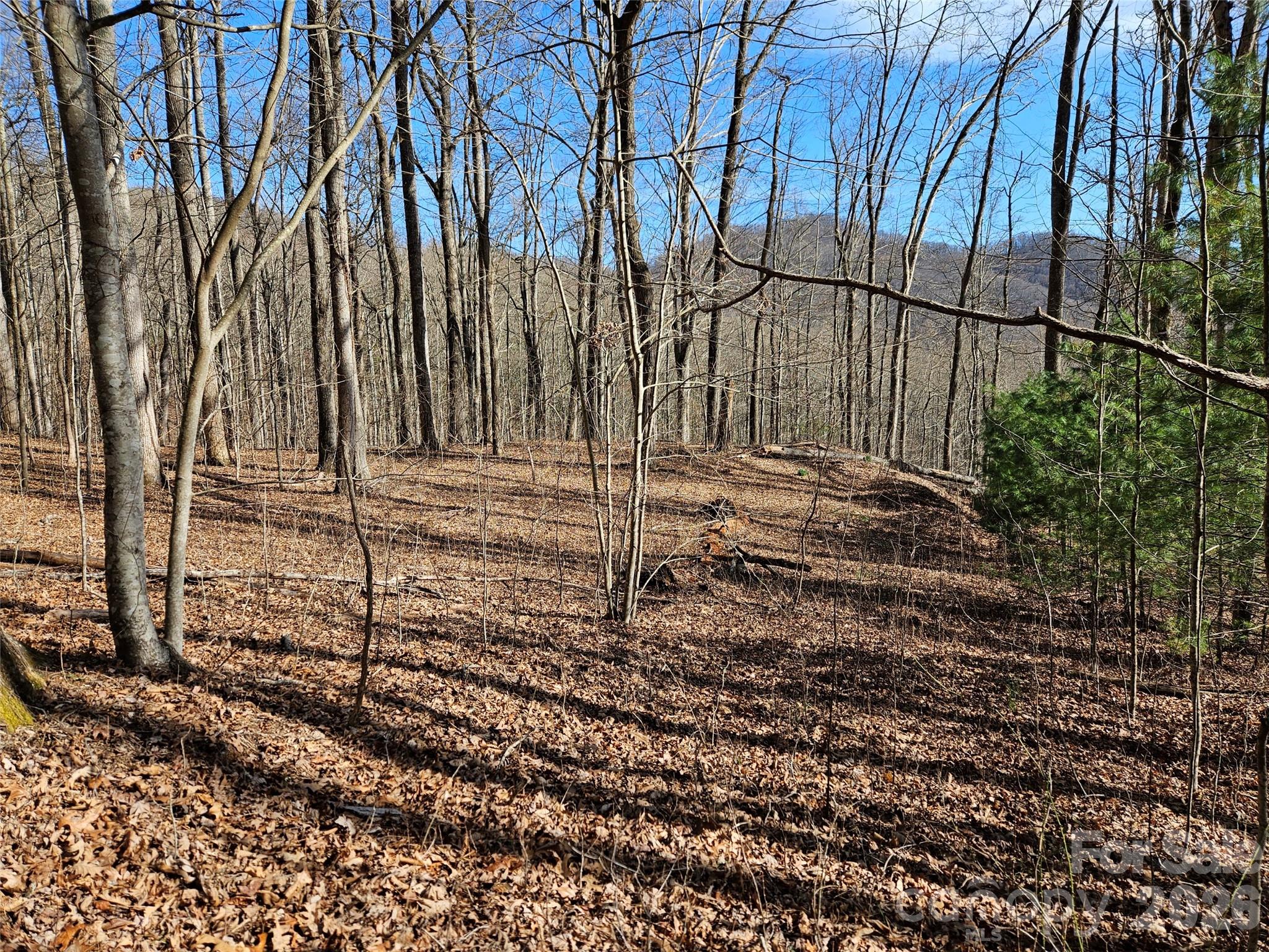 262 Si Knob Road Property Photo 4