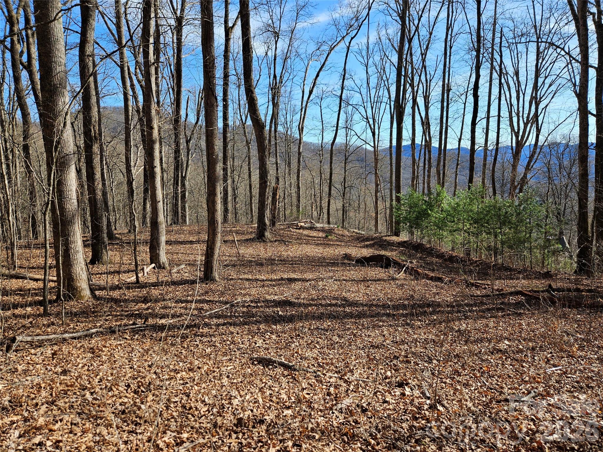262 Si Knob Road Property Photo 5