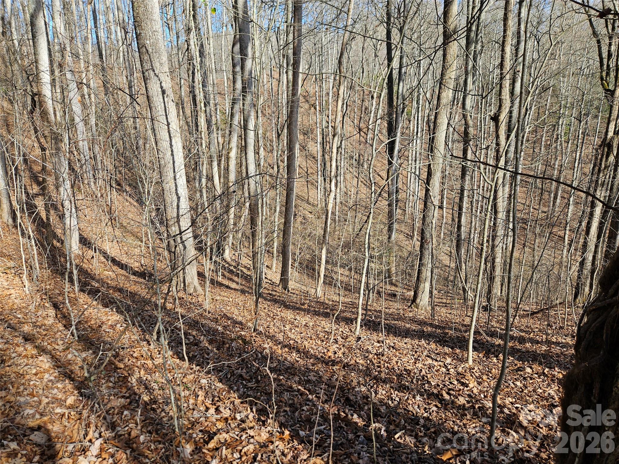 262 Si Knob Road Property Photo 6