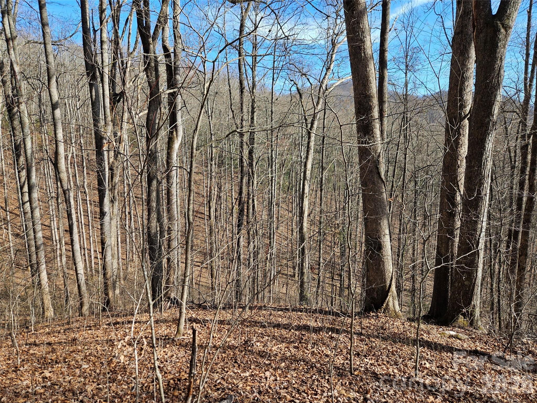 262 Si Knob Road Property Photo 7