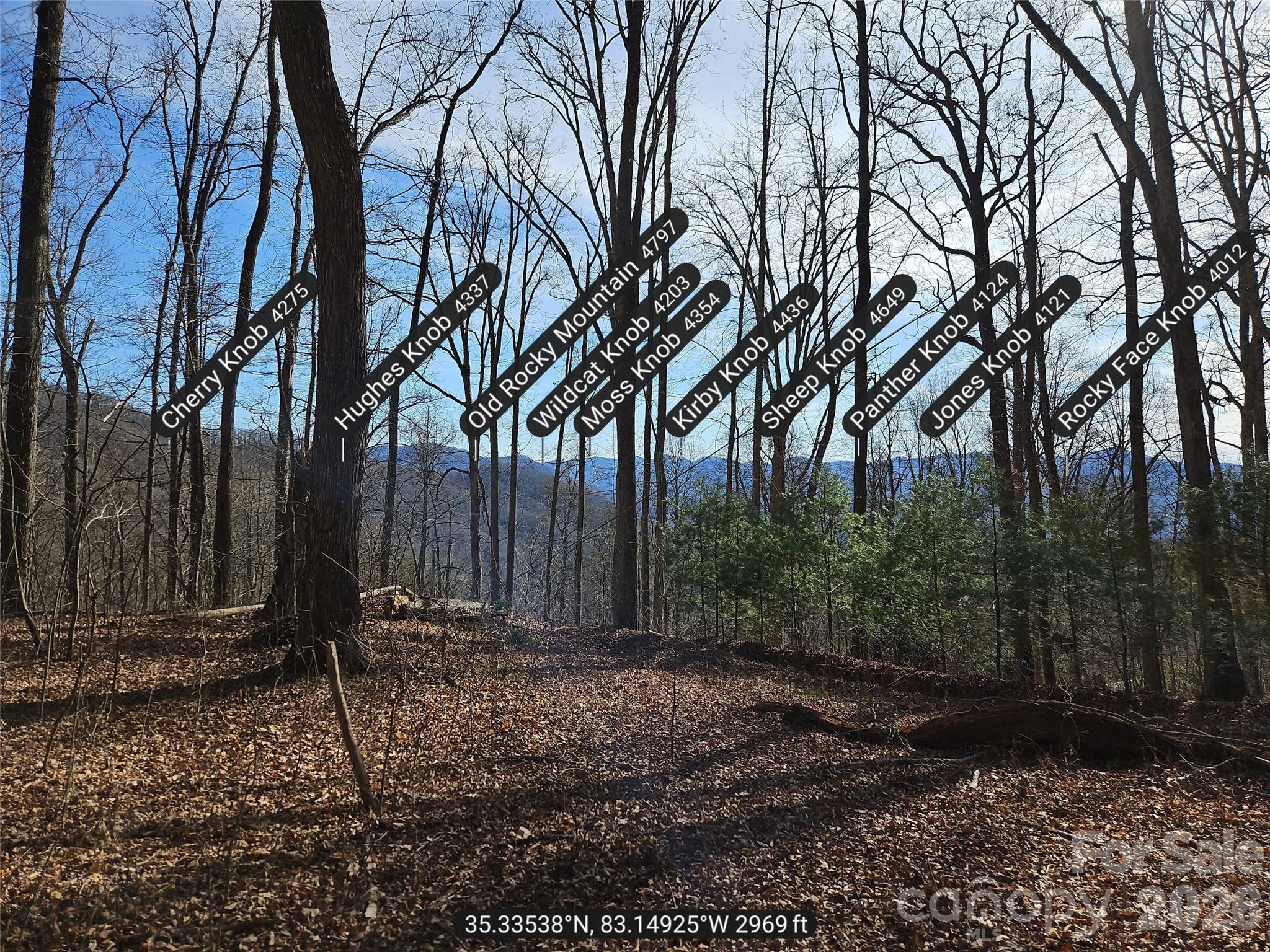 262 Si Knob Road Property Photo 8
