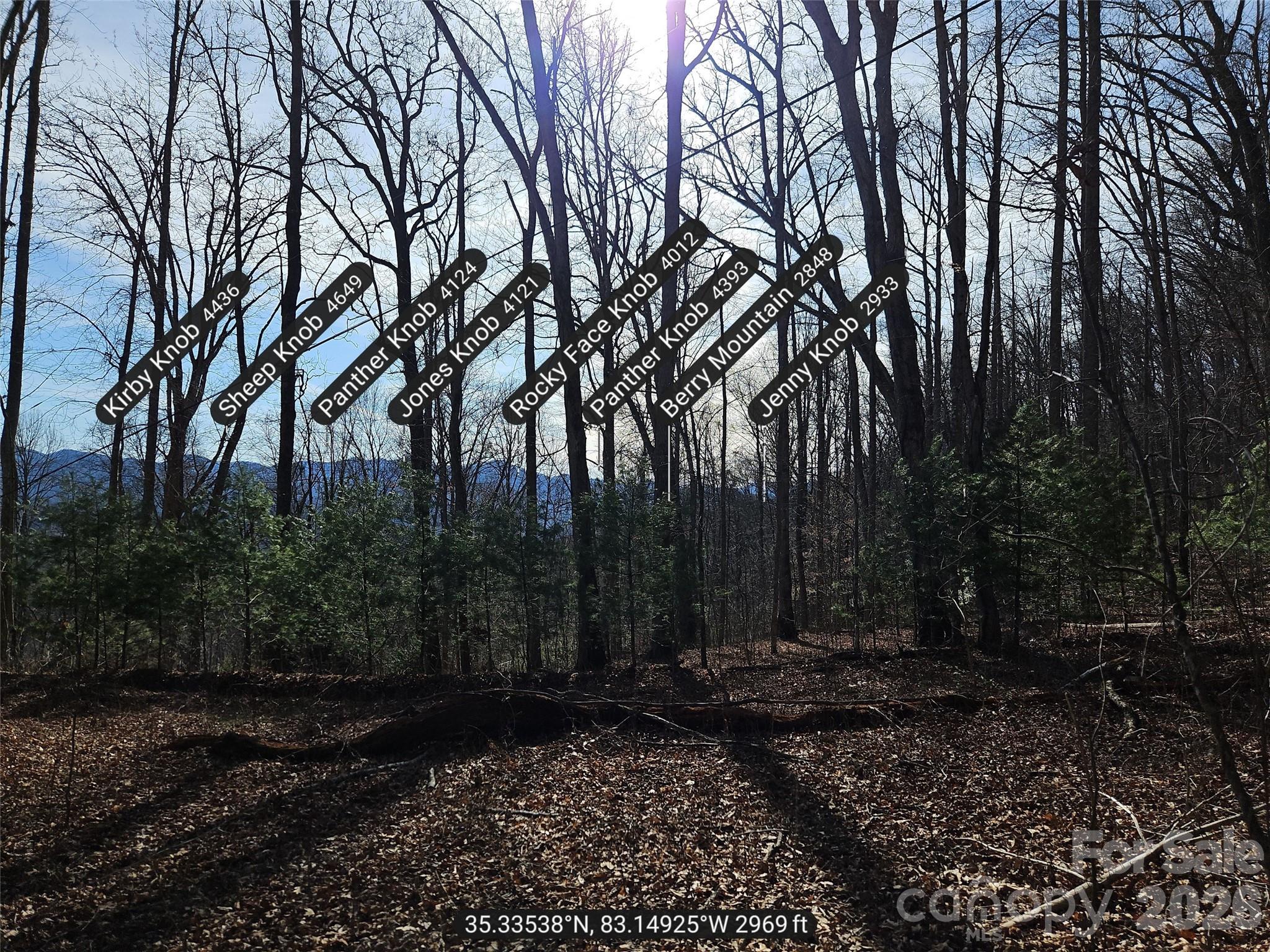 262 Si Knob Road Property Photo 9
