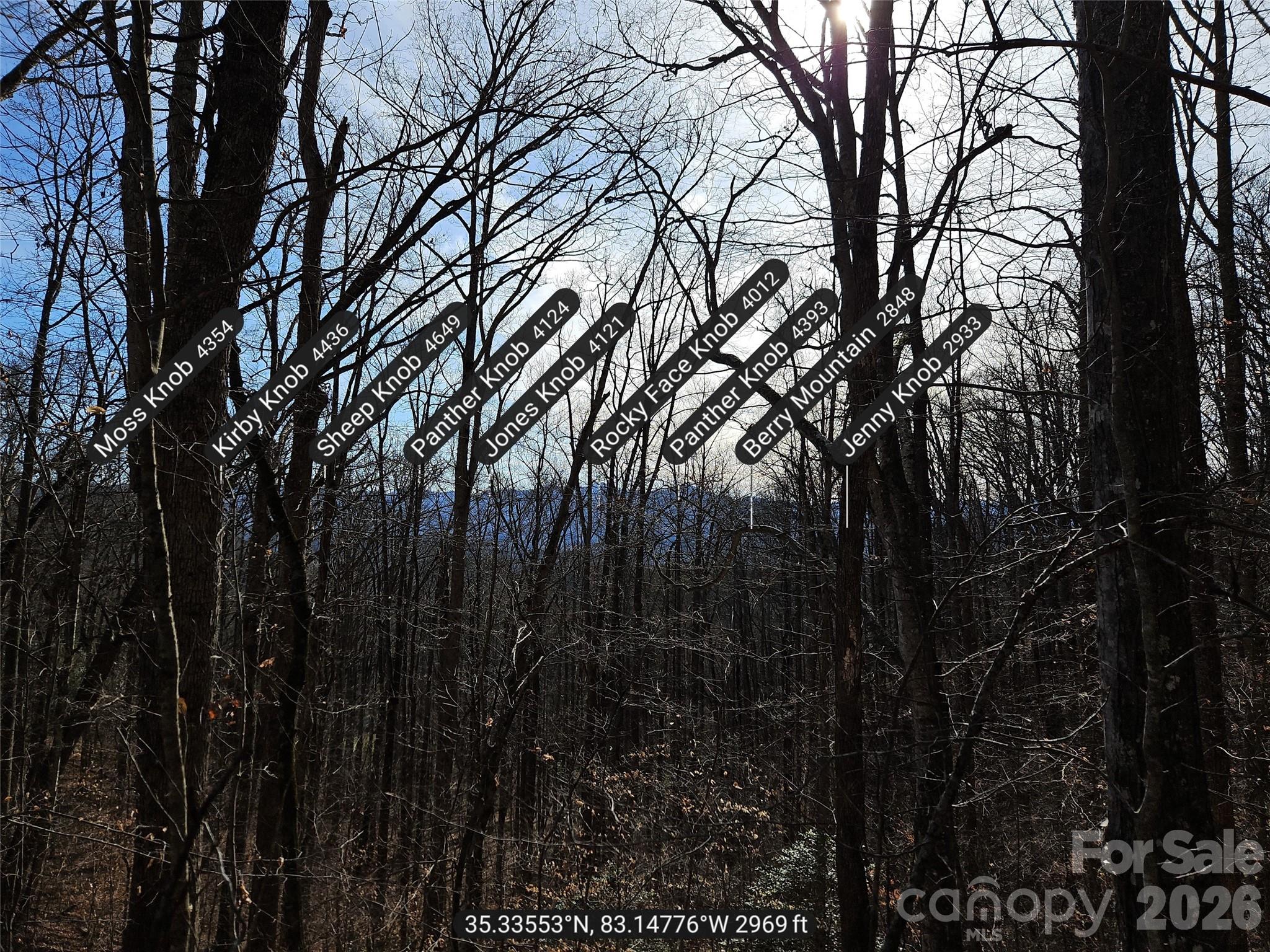 262 Si Knob Road Property Photo 10
