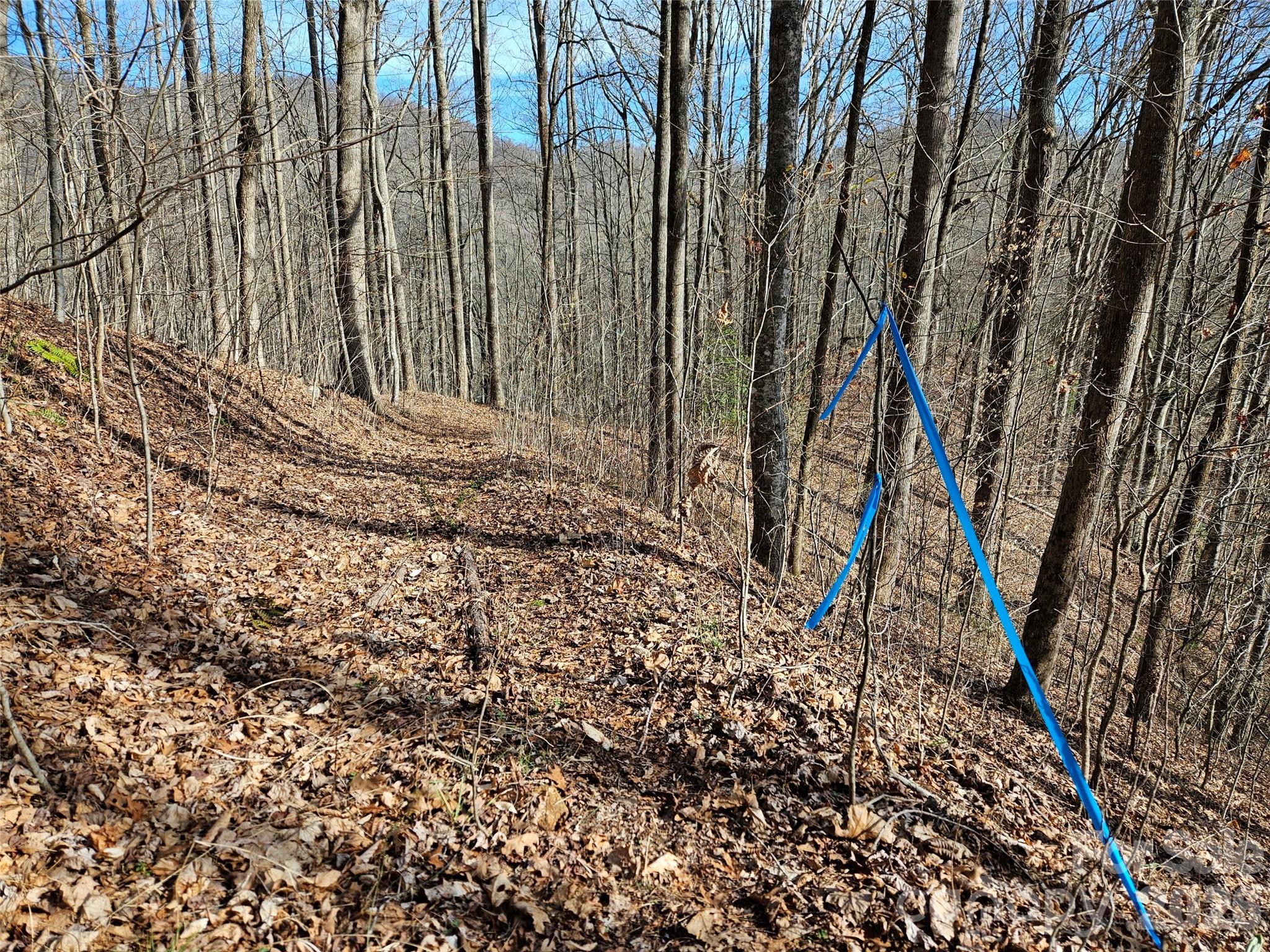 262 Si Knob Road Property Photo 11