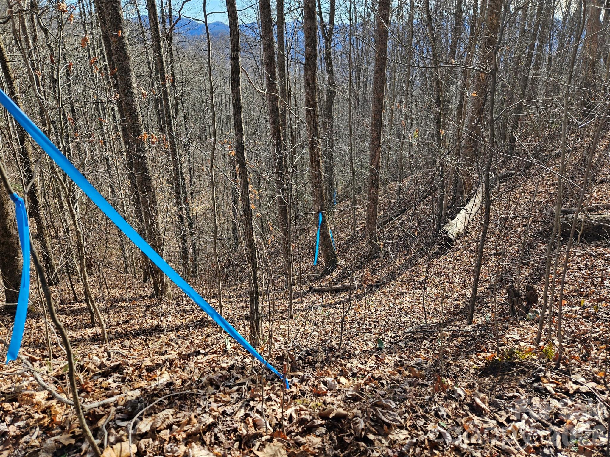 262 Si Knob Road Property Photo 12