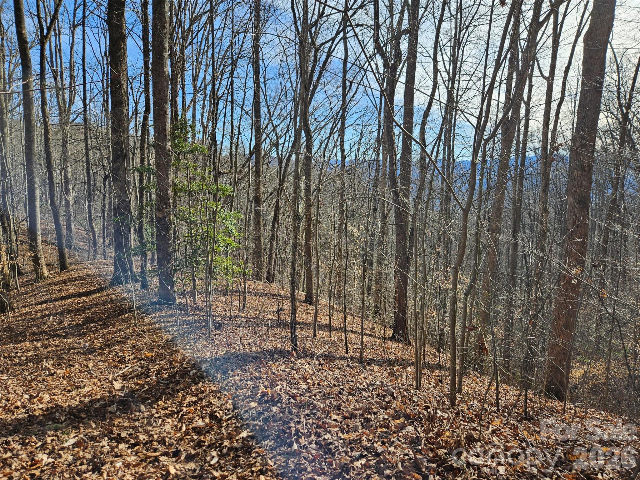 262 Si Knob Road Property Photo 13