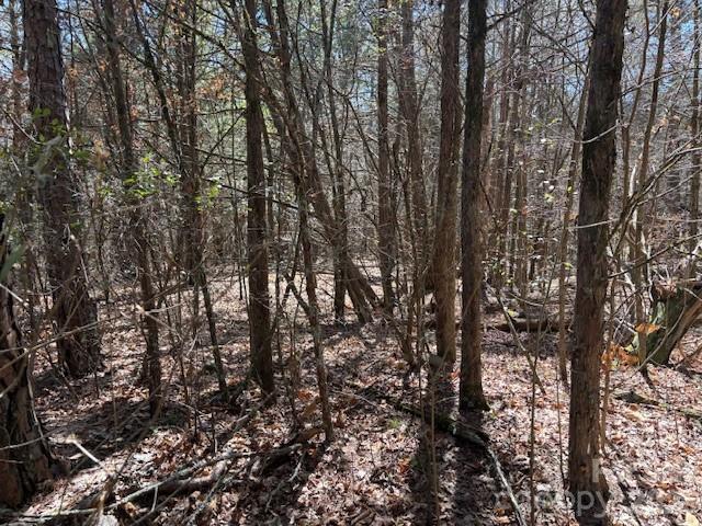 7350 Paul Linker Place Property Photo 2