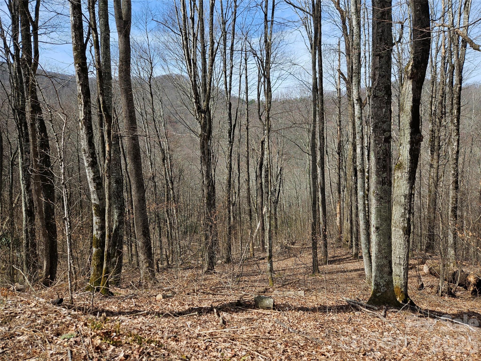 000 Forbidden Cove Property Photo 1