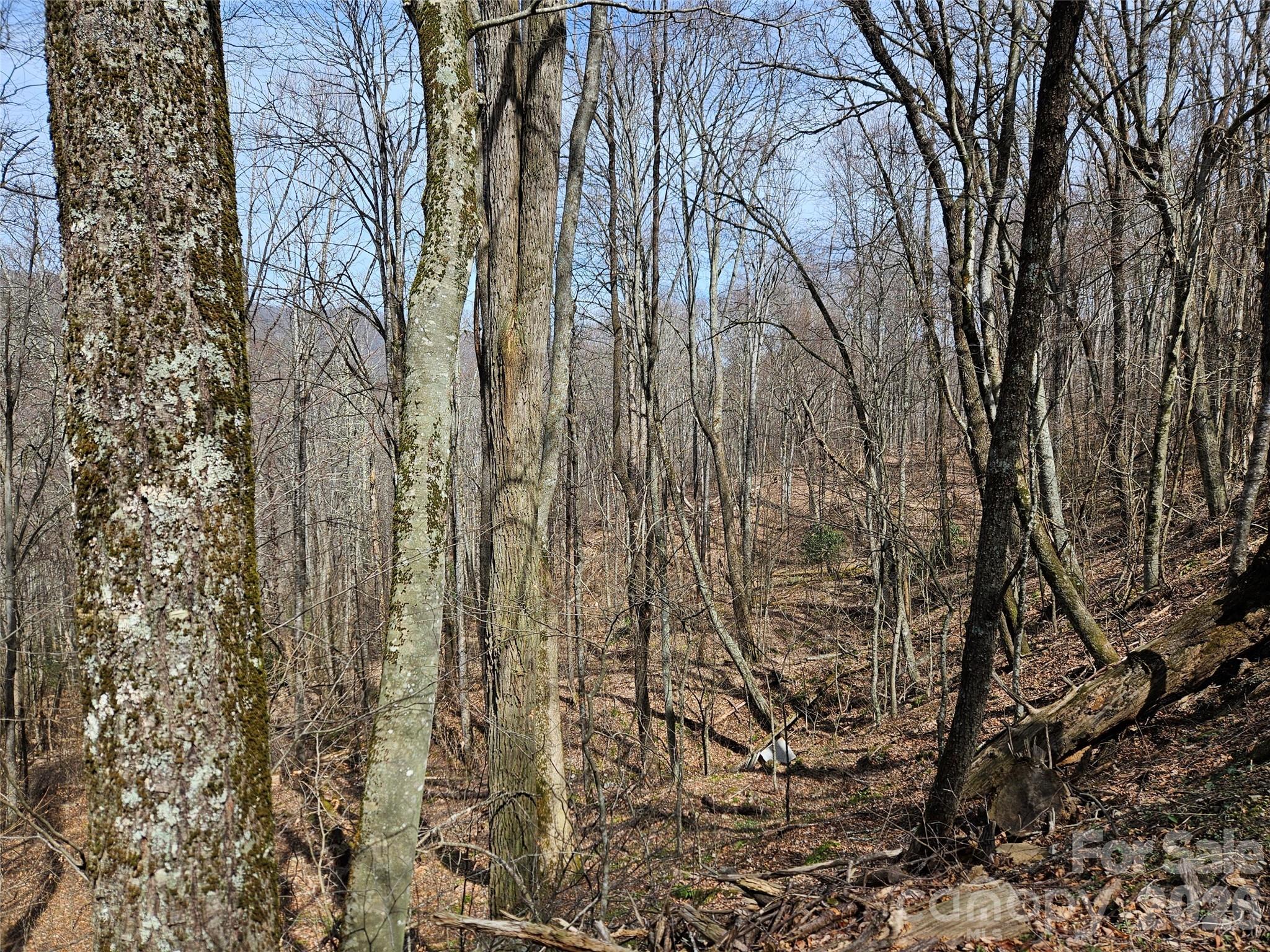 000 Forbidden Cove Property Photo 5