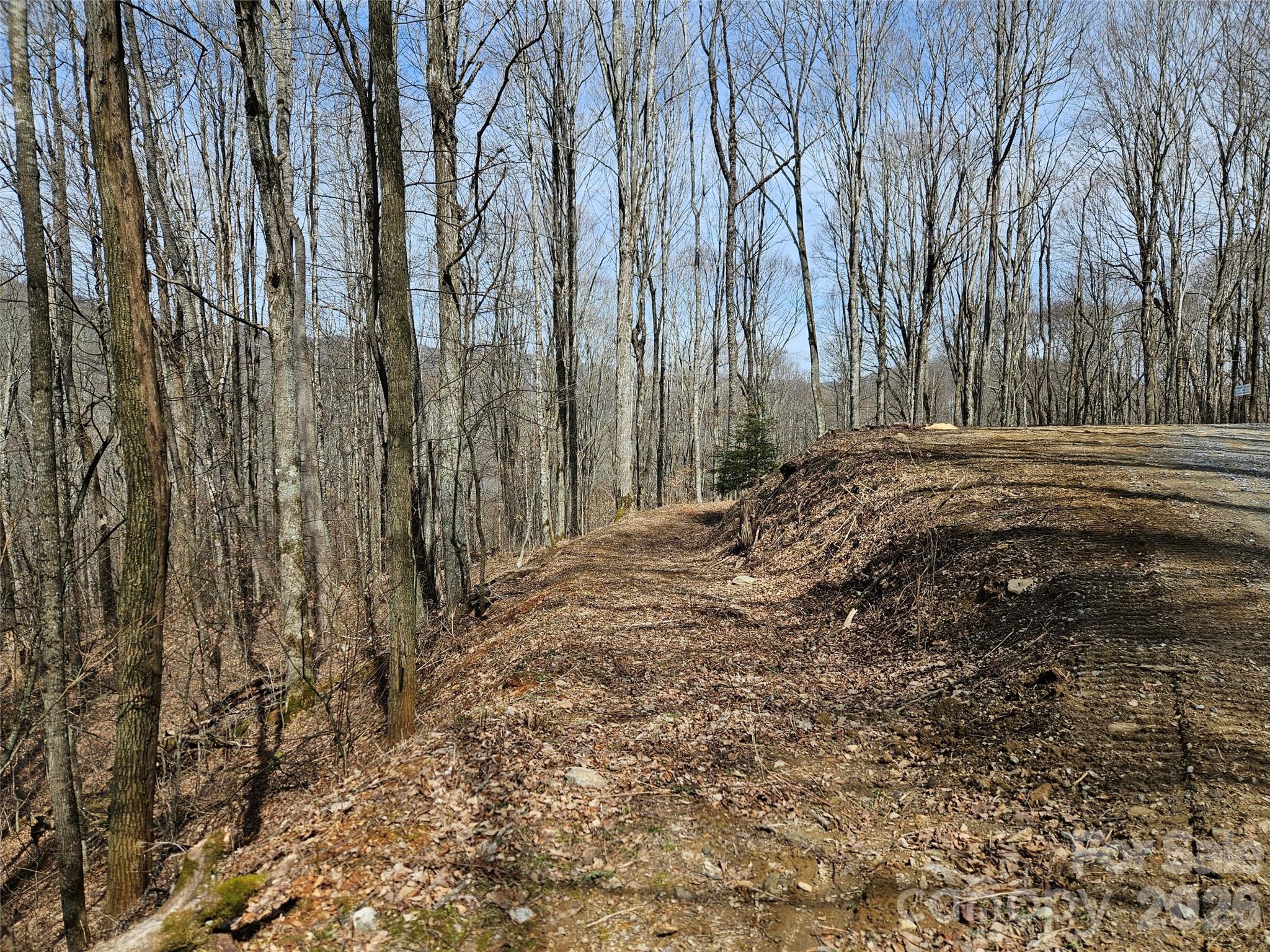 000 Forbidden Cove Property Photo 6