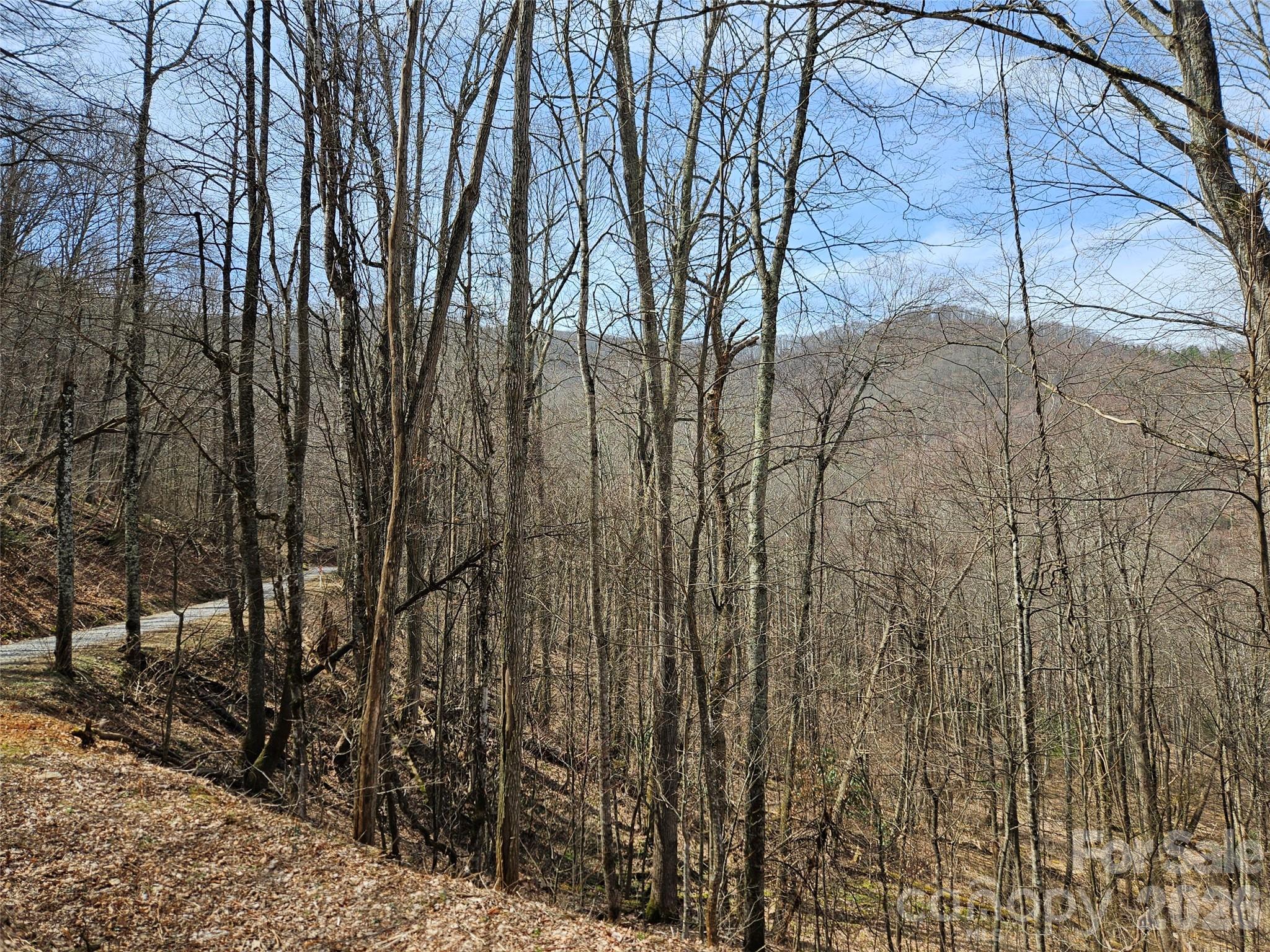 000 Forbidden Cove Property Photo 7