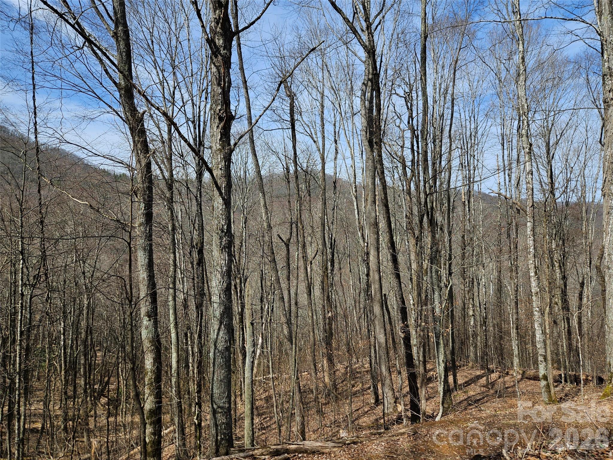 000 Forbidden Cove Property Photo 8