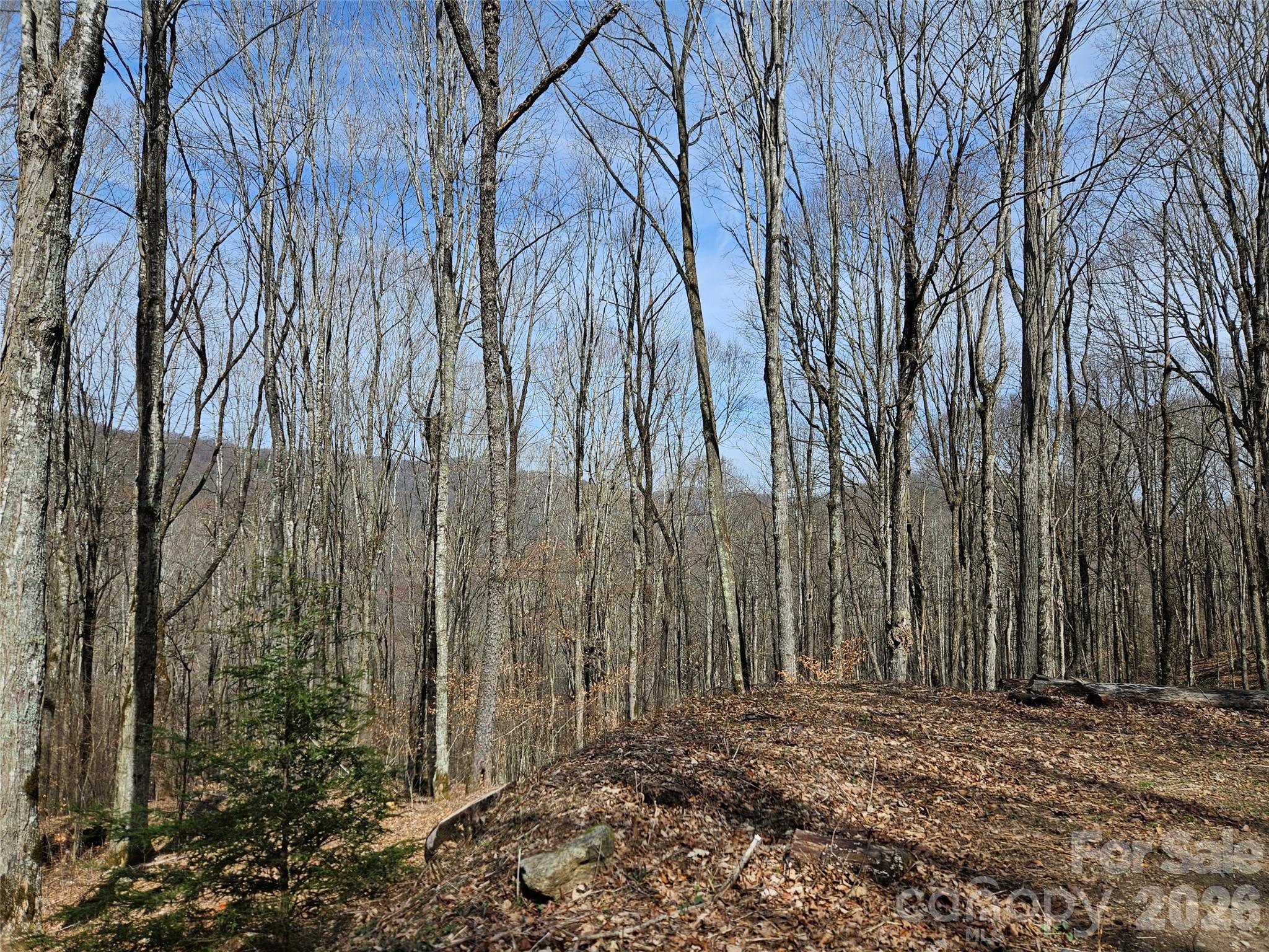 000 Forbidden Cove Property Photo 9