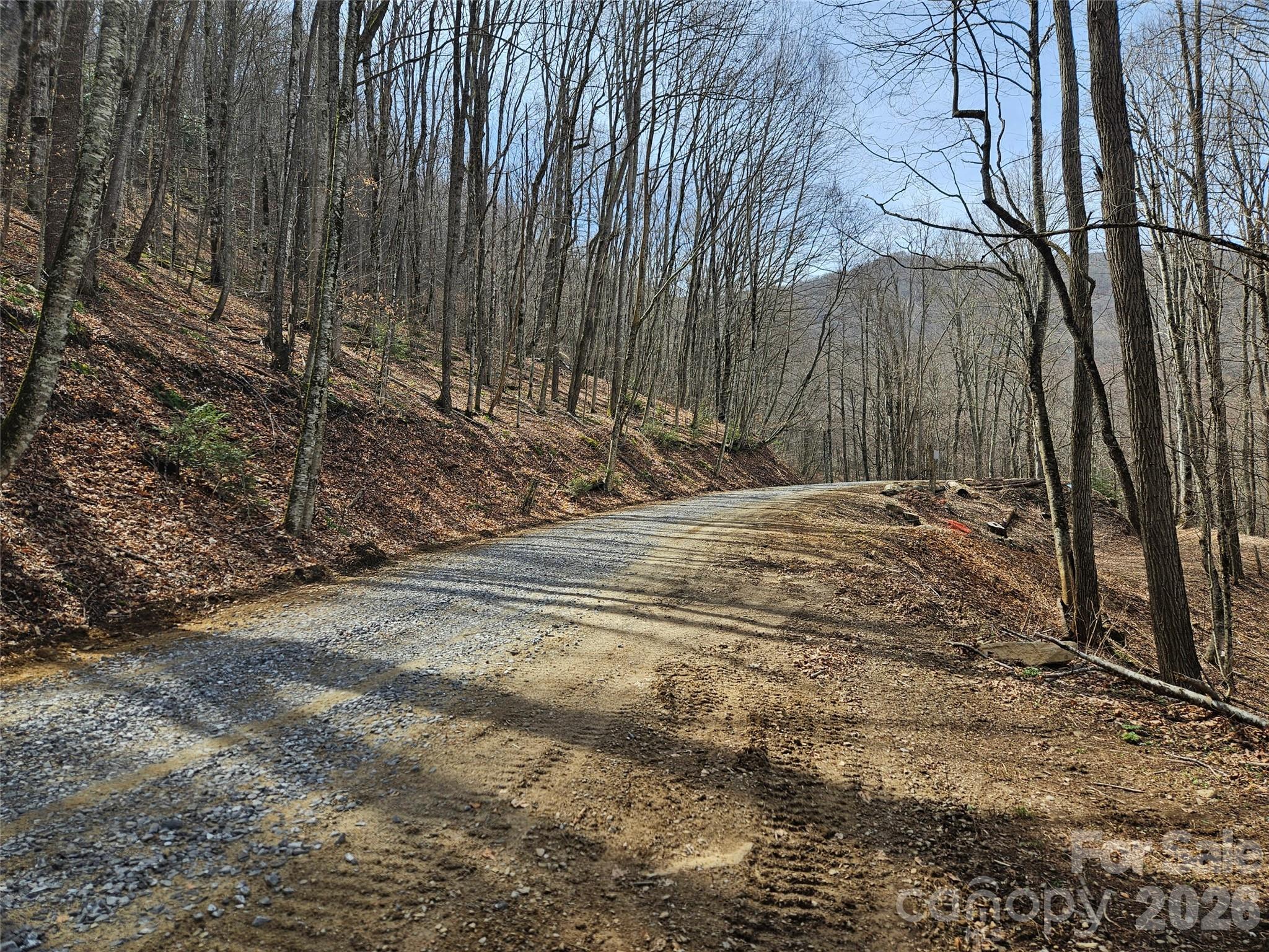 000 Forbidden Cove Property Photo 12