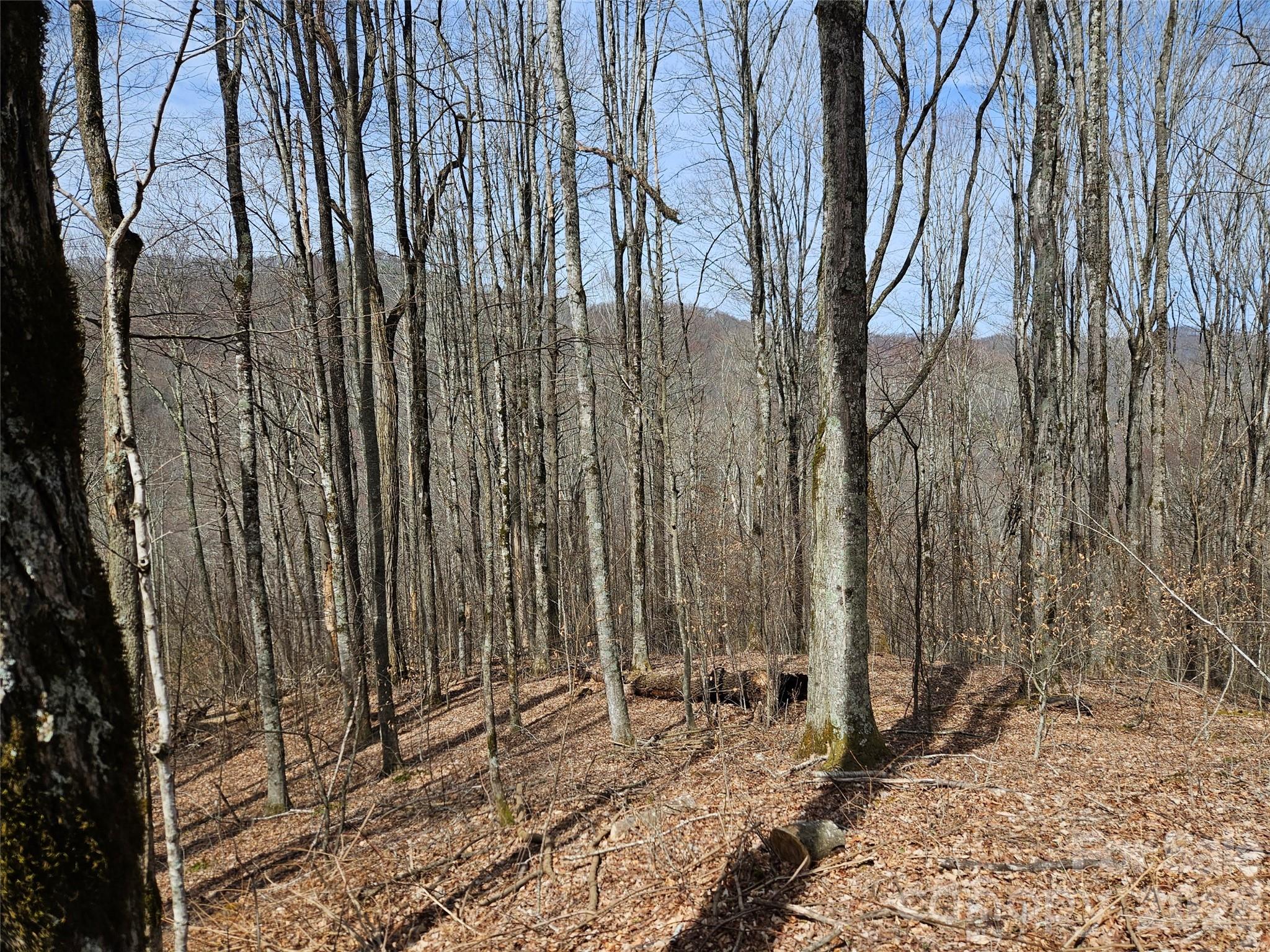 000 Forbidden Cove Property Photo 13