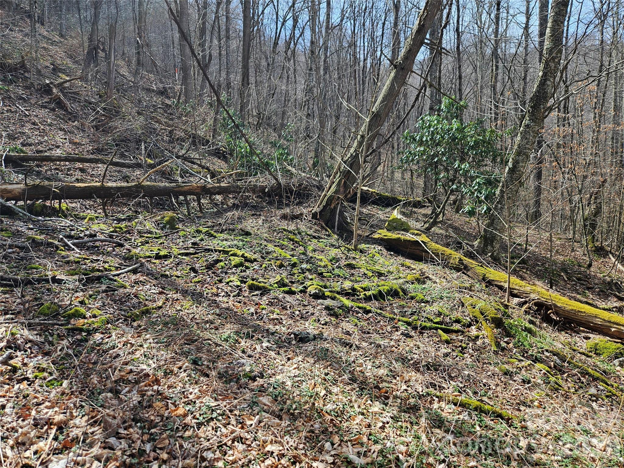 000 Forbidden Cove Property Photo 14