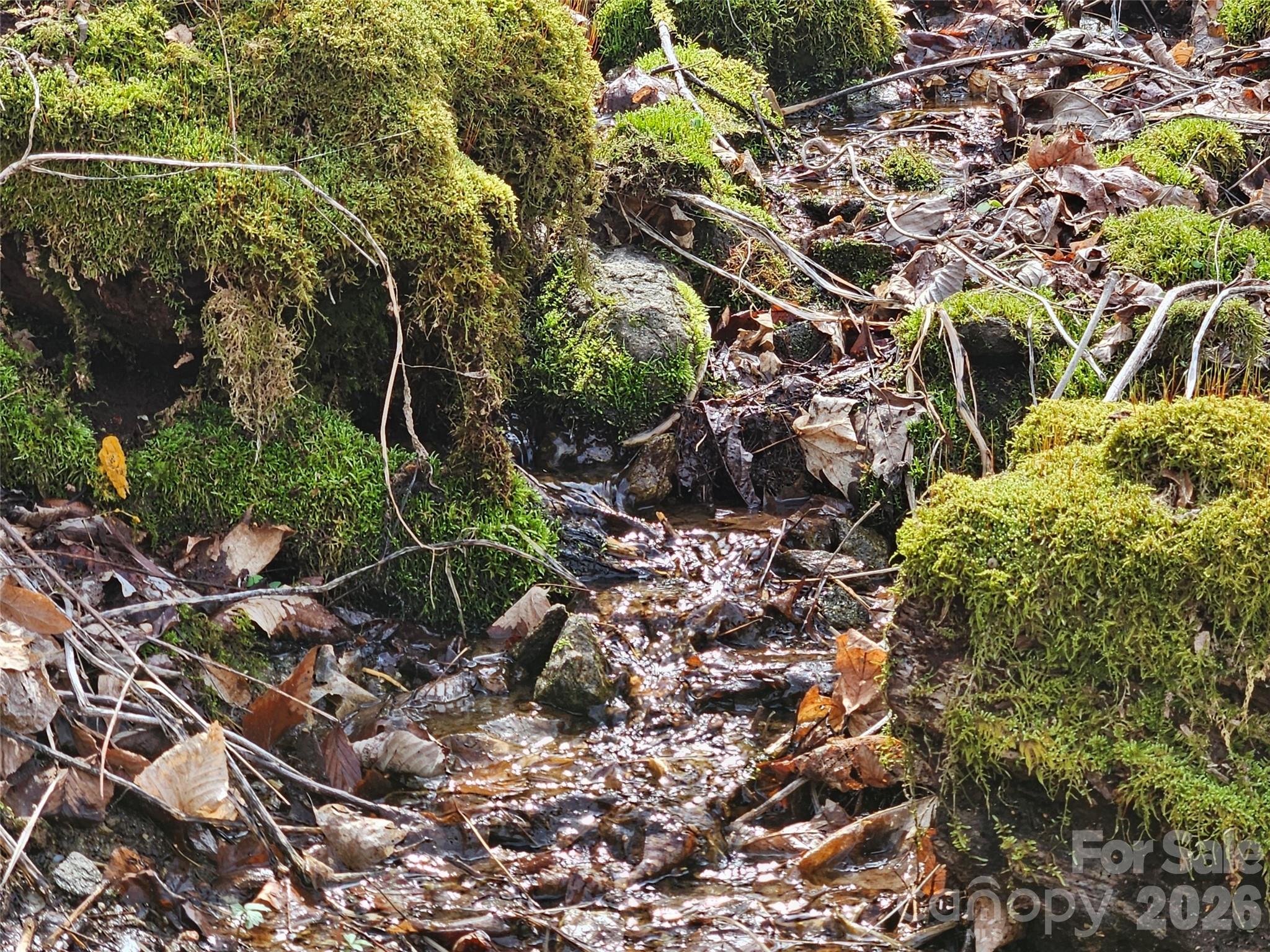 000 Forbidden Cove Property Photo 15