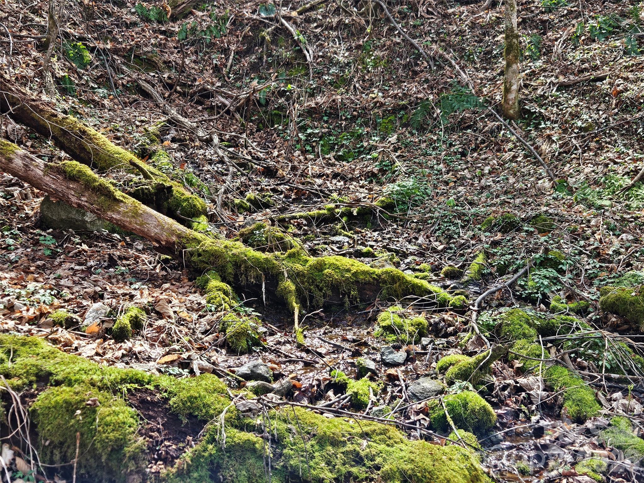 000 Forbidden Cove Property Photo 16