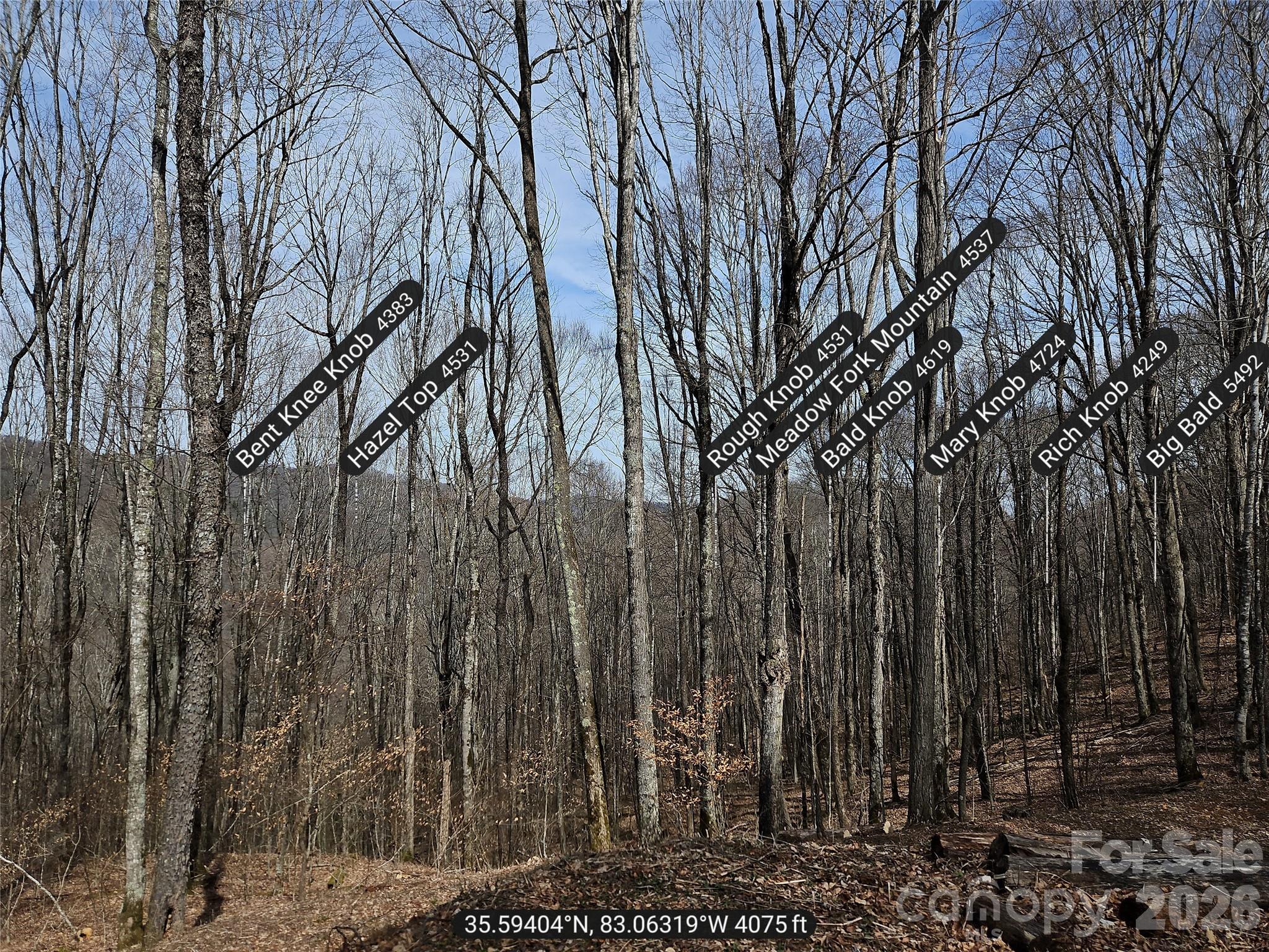 000 Forbidden Cove Property Photo 17