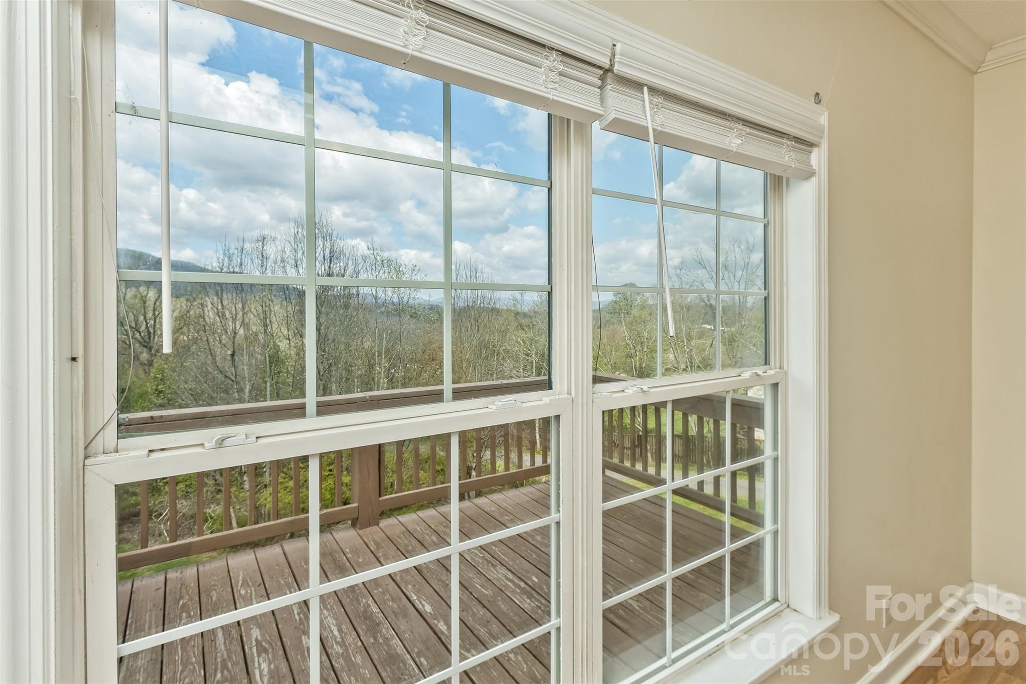 50 & 52 Smith Road Property Photo 27