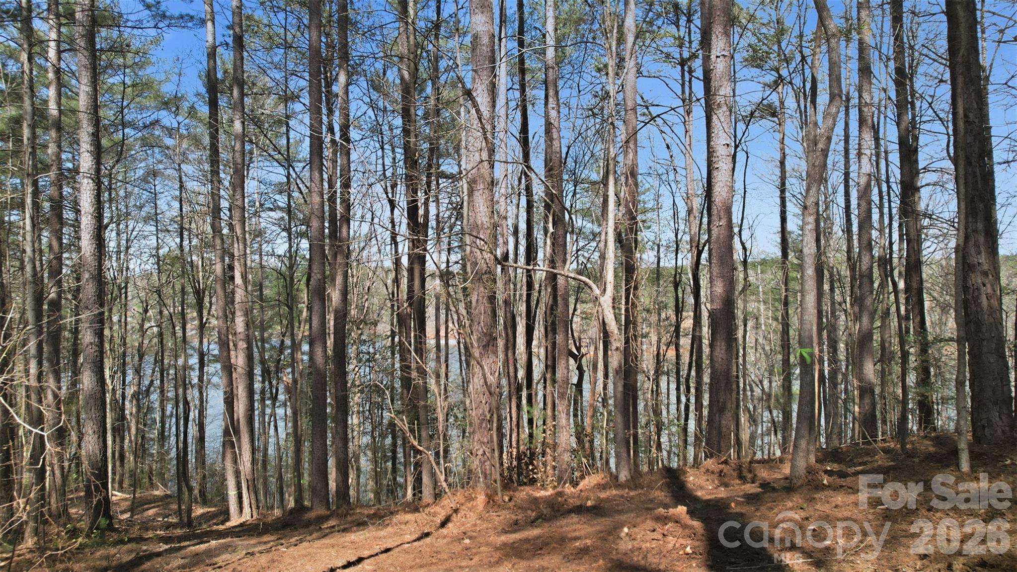211 Ridge Top Drive 11 Property Photo 16
